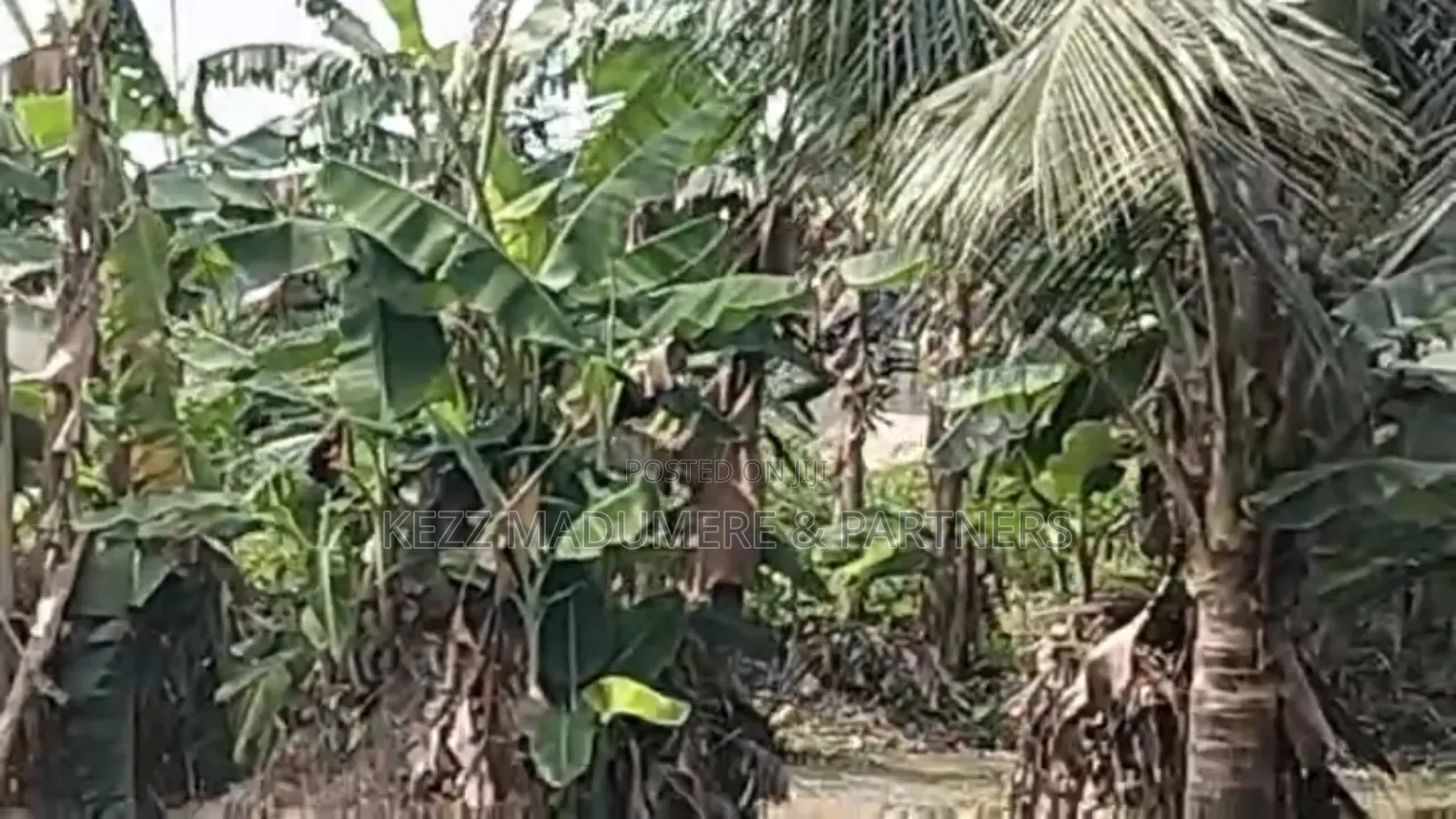 For Sale : 4 Plots at Eneke /Igwuruta Airport Rd, Ph