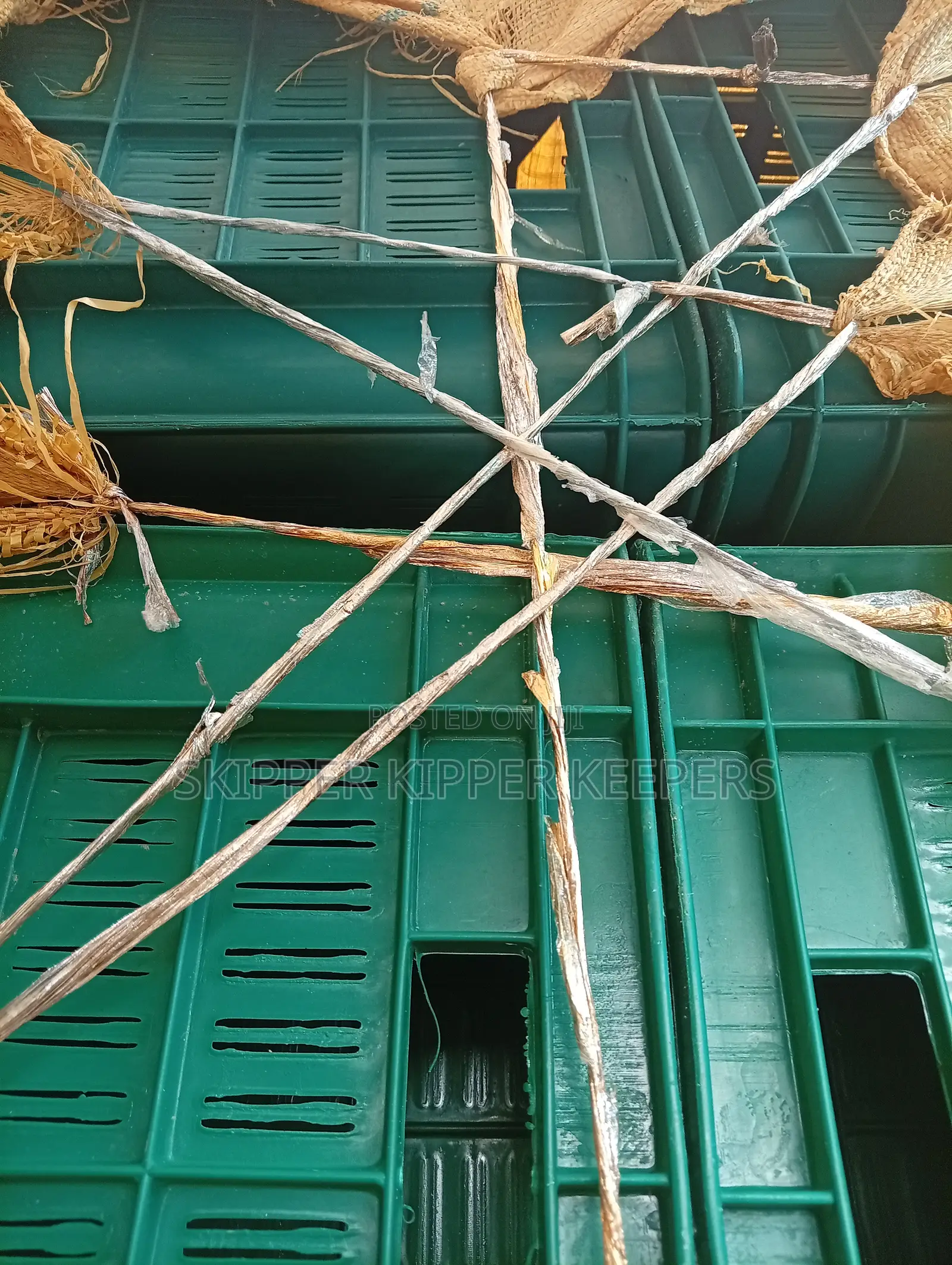 Tomato and Pepper Harvesting Crates