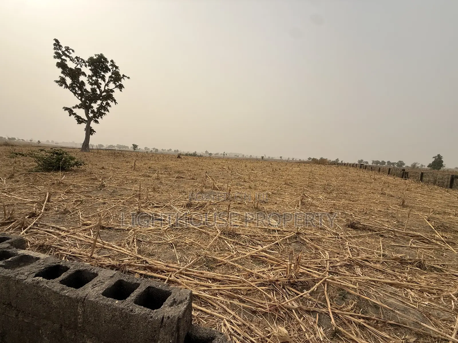 2.16 Hectares of Farm Land for Sale