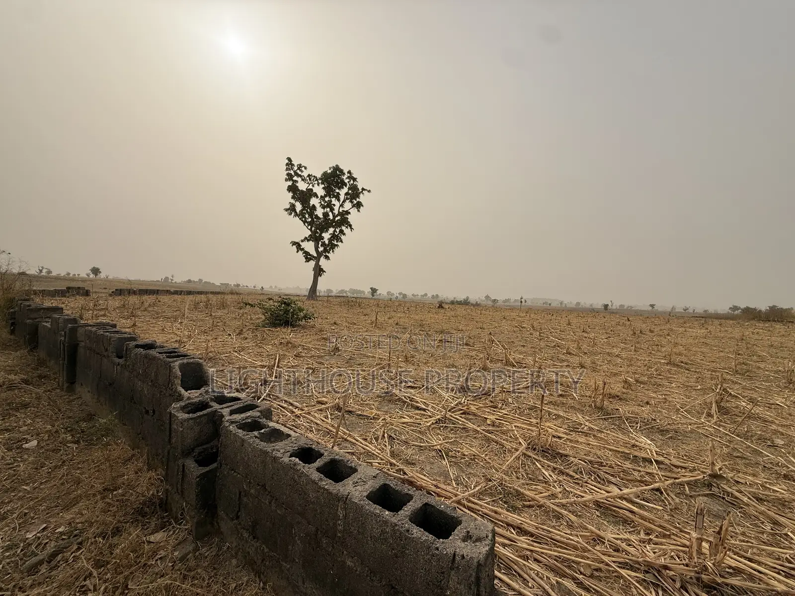 2.16 Hectares of Farm Land for Sale