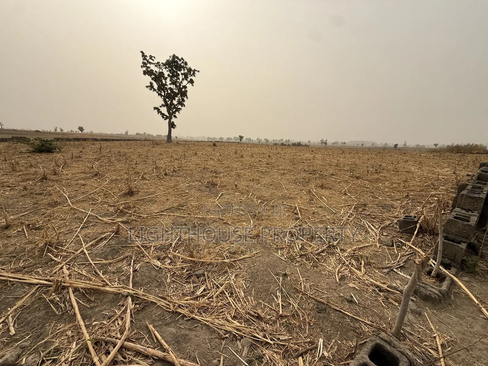 2.16 Hectares of Farm Land for Sale