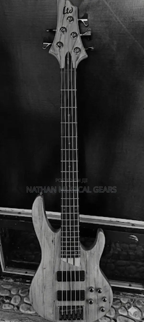 Left Hand LTD Bass Guiter