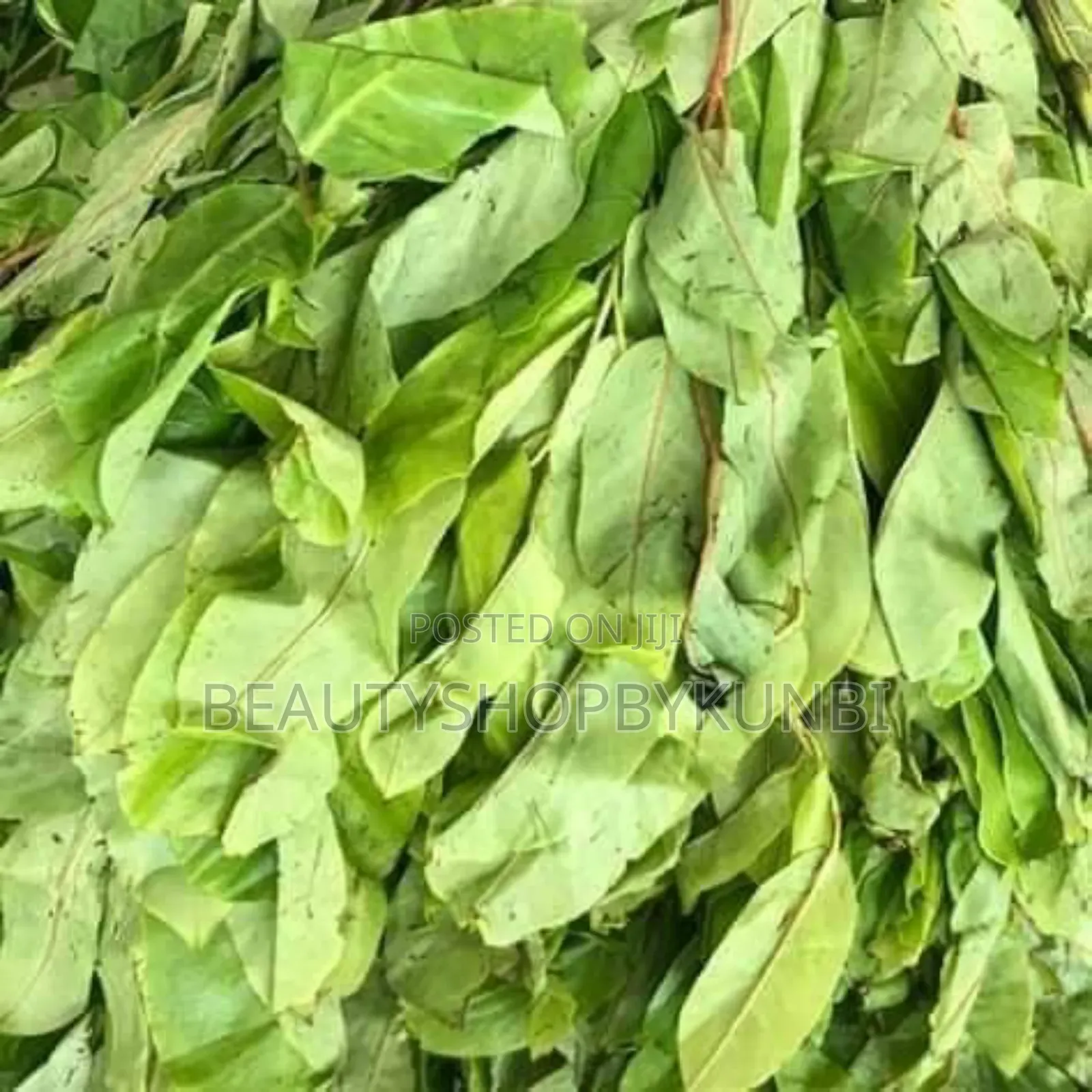Dried Oha Leaves 100g