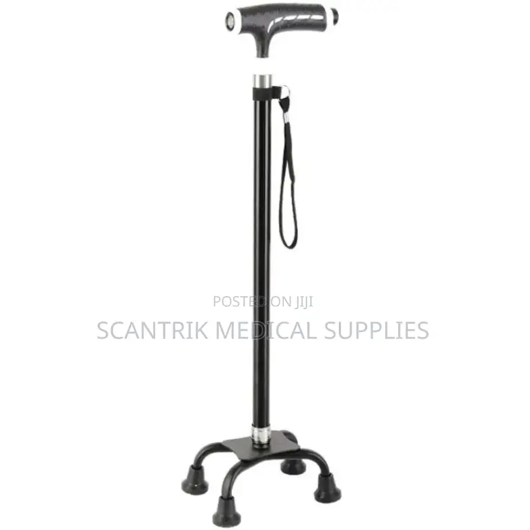 Lightweight 4-Foot Walking Stick for Easy Handling
