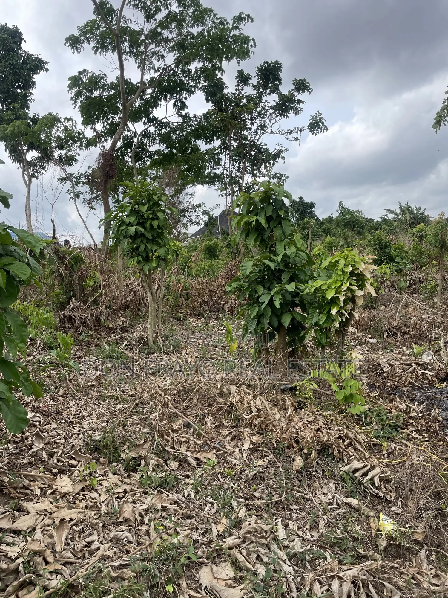 635 SQM of Residential Land for Sale at Koroboto Ajia Egbeda Ibadan