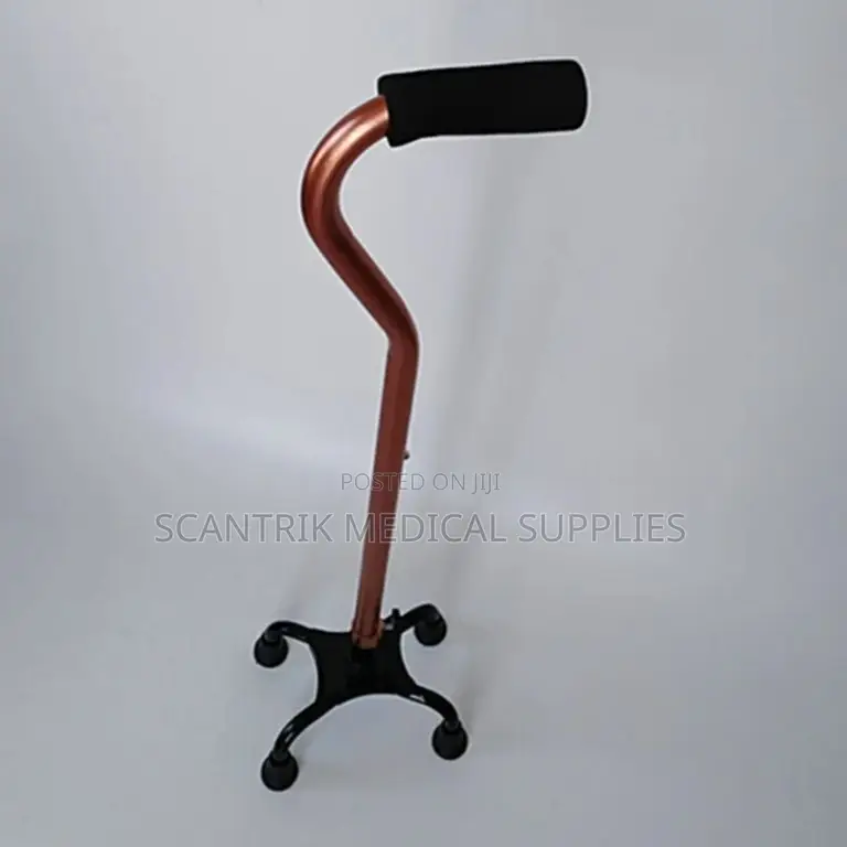 Premium Heavy-Duty 4-Foot Walking Stick
