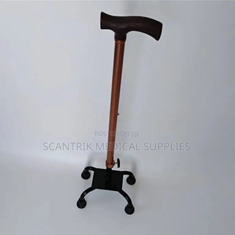Lightweight Adjustable 4-Foot Walking Stick