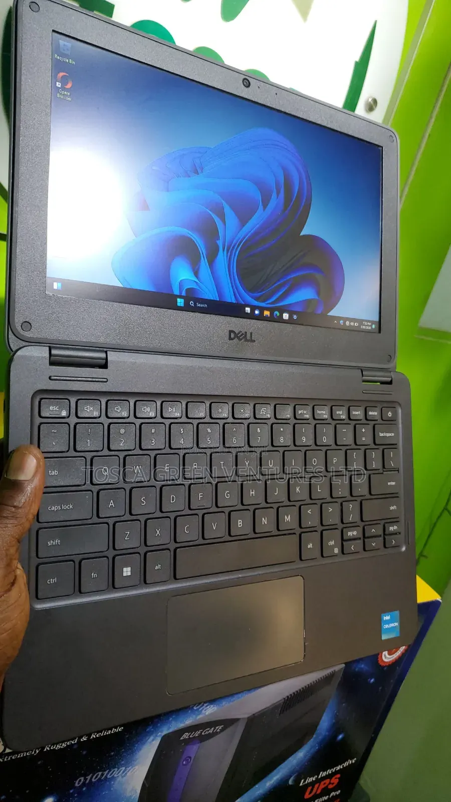 Laptop Dell Latitude 3120 8GB Intel Celeron SSD 128GB