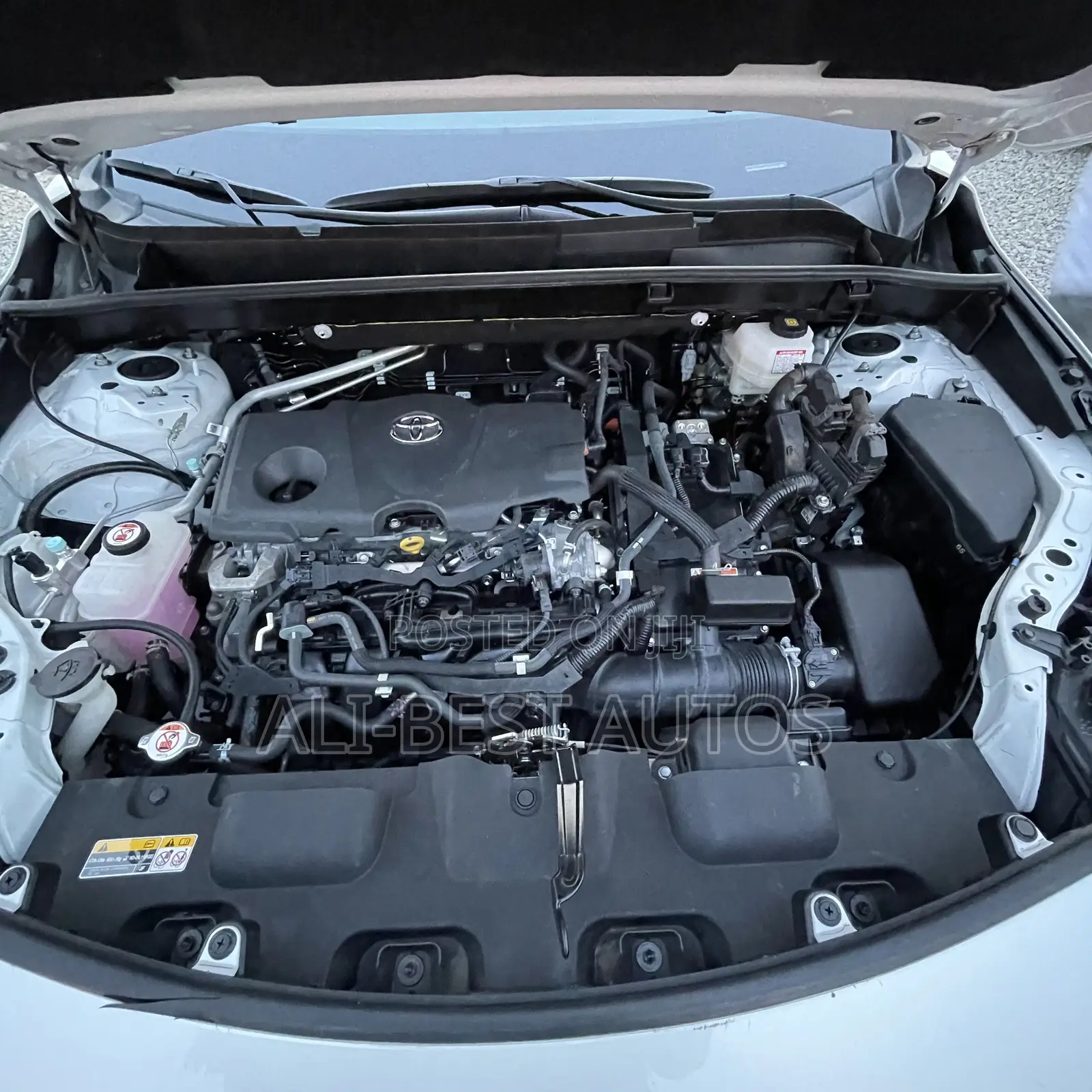 Toyota Venza Limited 2022 White