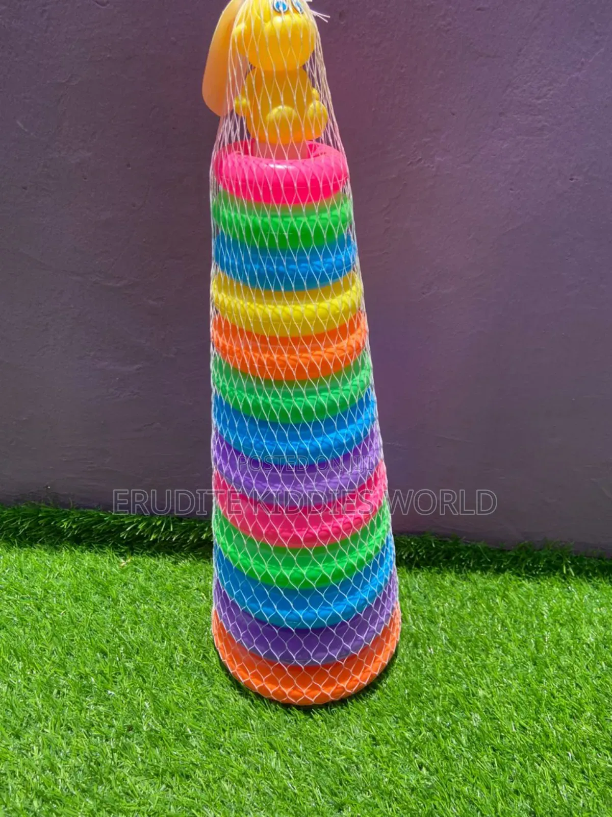 Giant Colour Ring