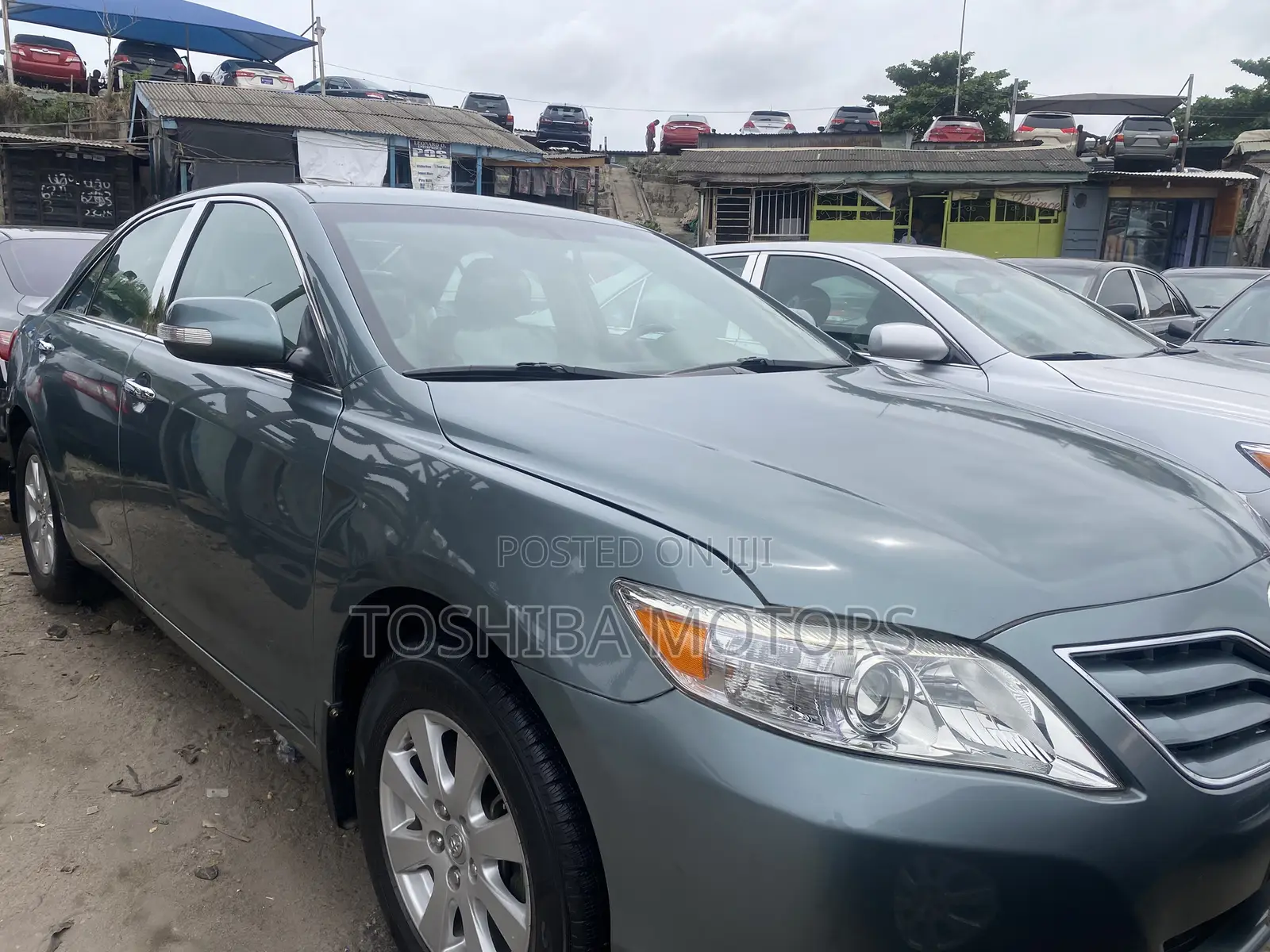 Toyota Camry XLE V6 4dr Sedan (3.5L 6cyl 6AM) 2010 Green
