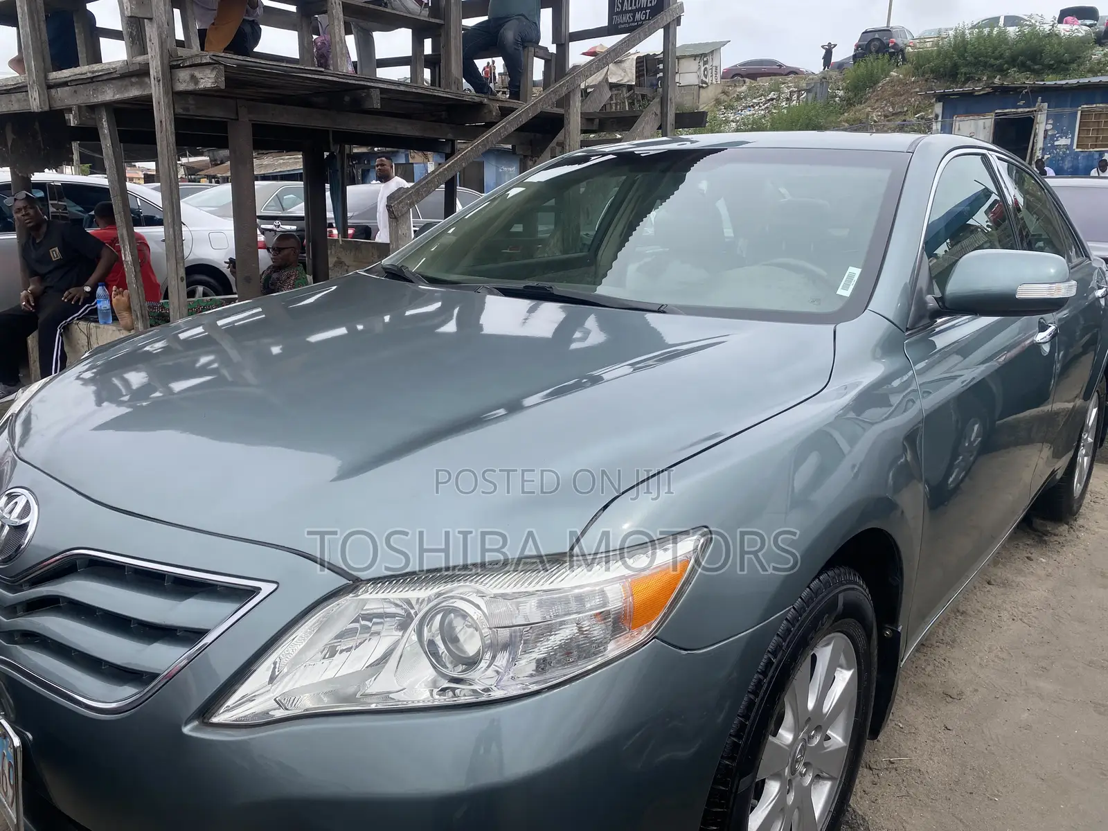 Toyota Camry XLE V6 4dr Sedan (3.5L 6cyl 6AM) 2010 Green