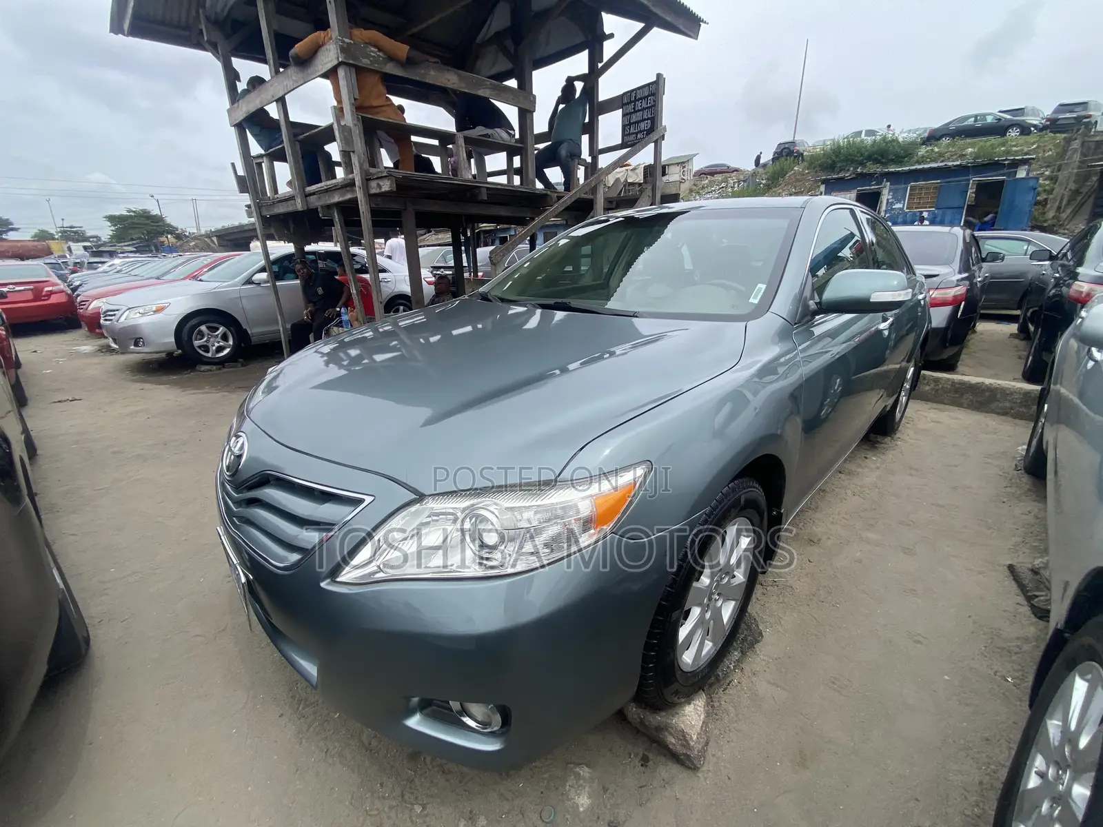 Toyota Camry XLE V6 4dr Sedan (3.5L 6cyl 6AM) 2010 Green