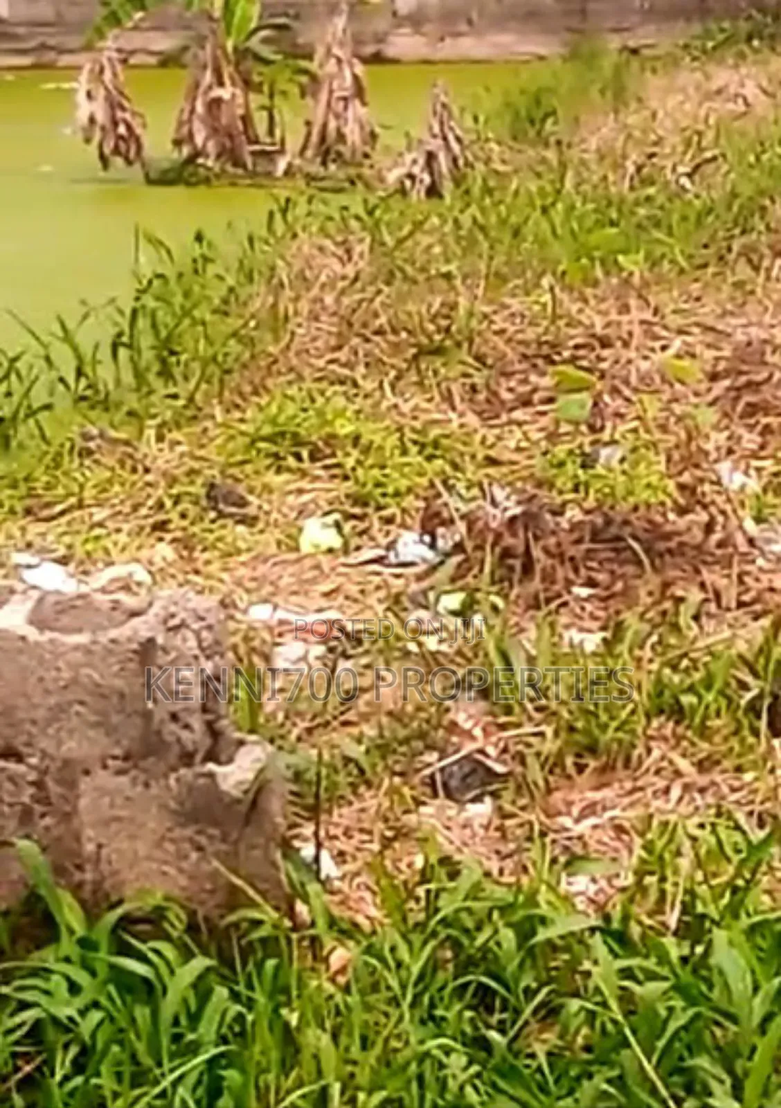 Quarter Plot of Land at Iyanoba for Sale