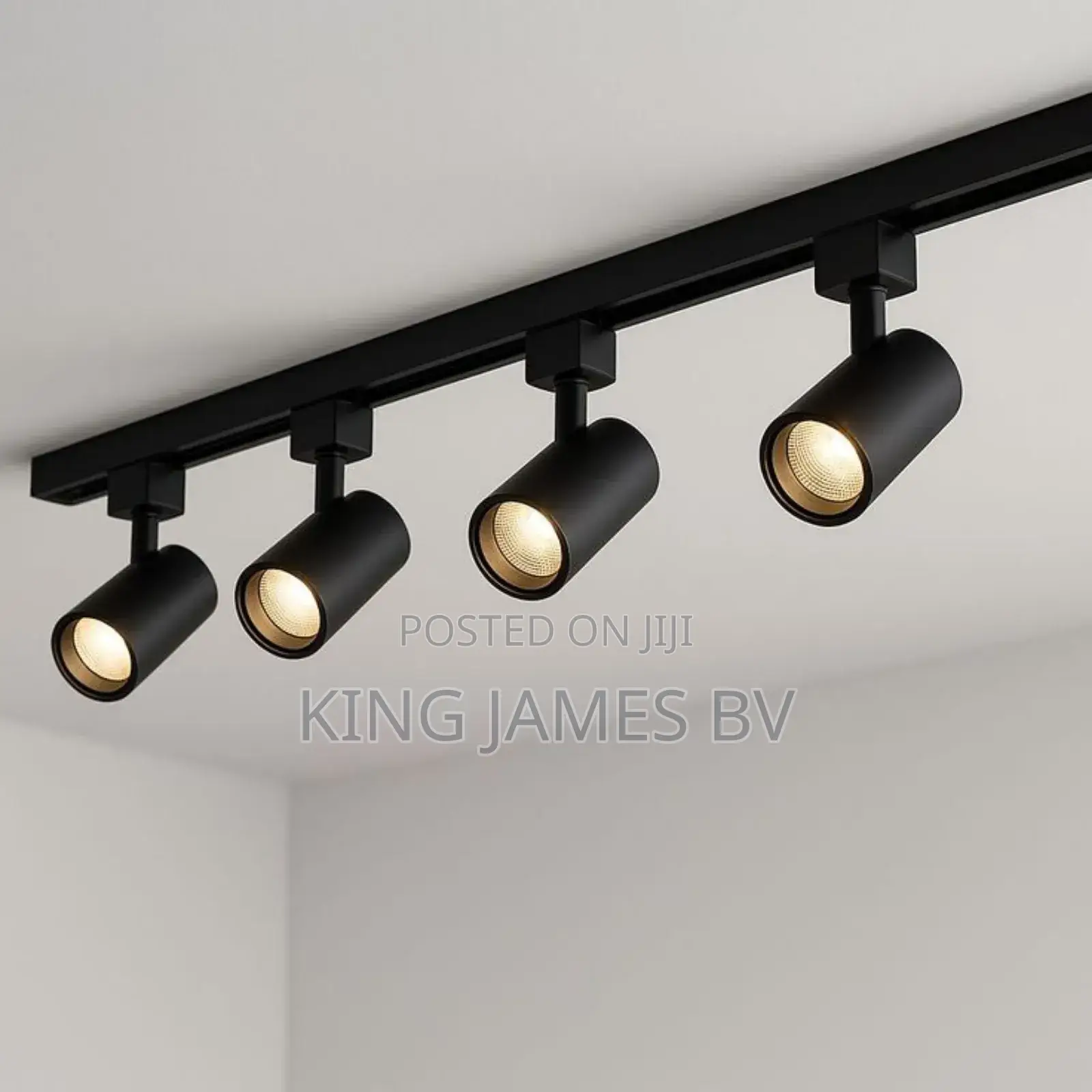 4 in 1 Track Light