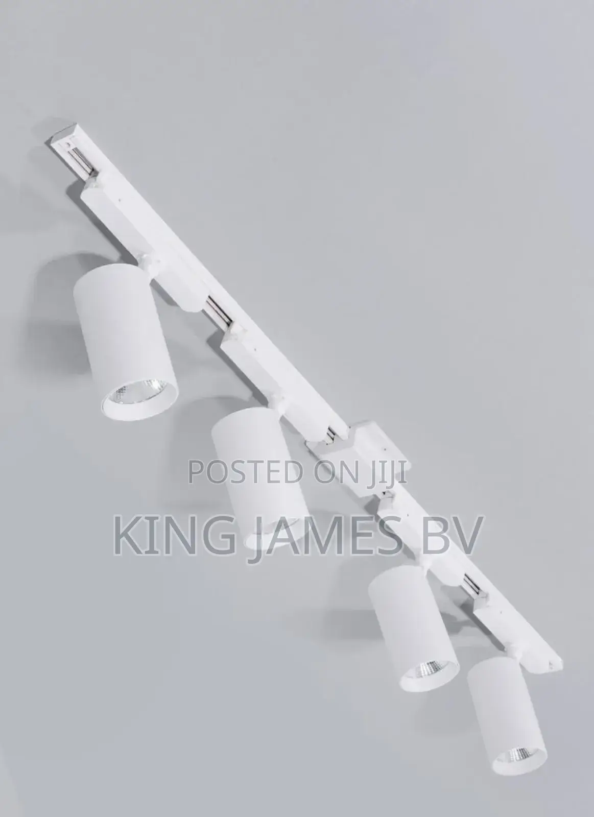 White 4 in 1 Track Light