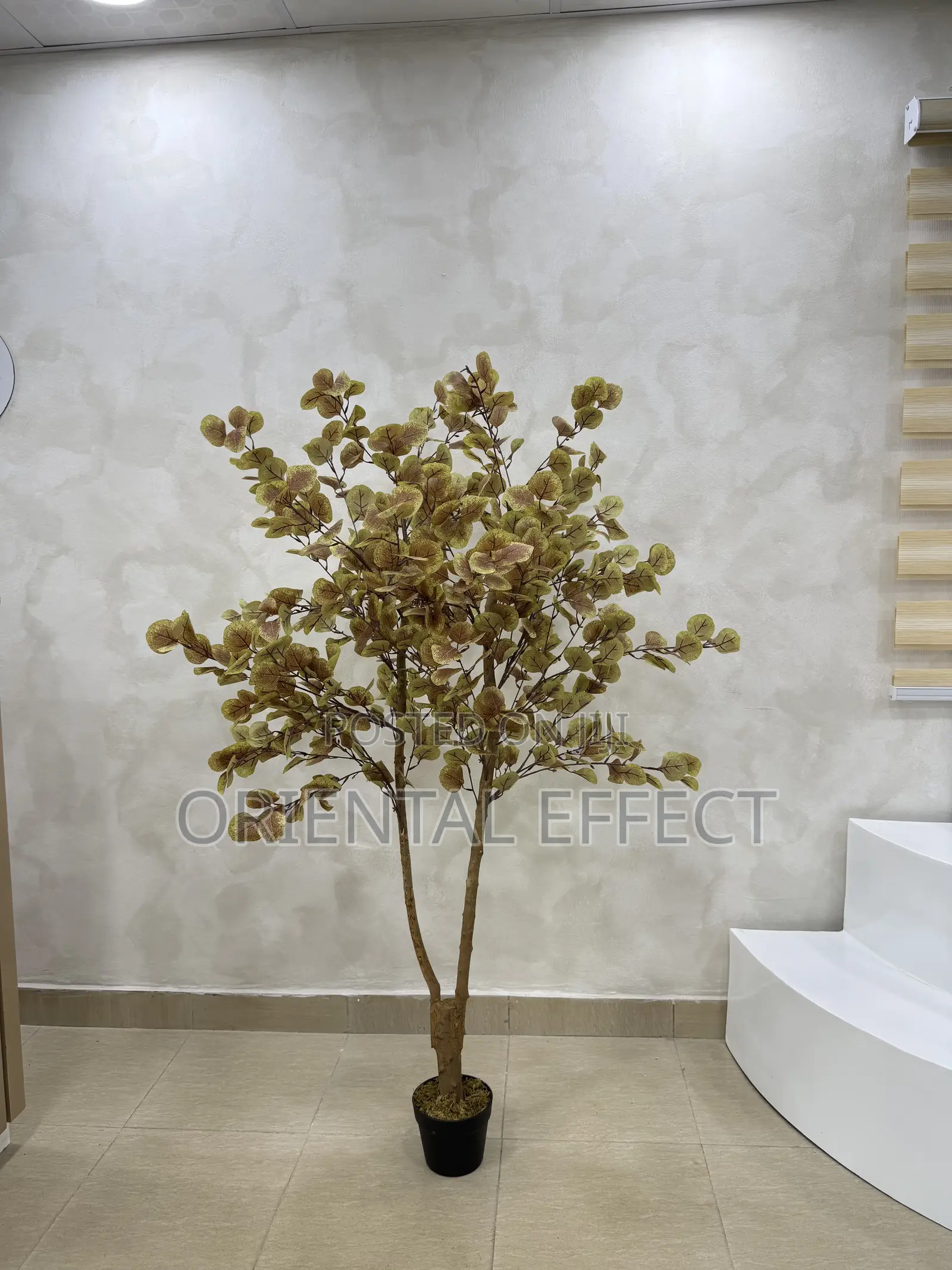 Artificial Money Tree–Realistic Faux Plant for Interior Decor Nigeria