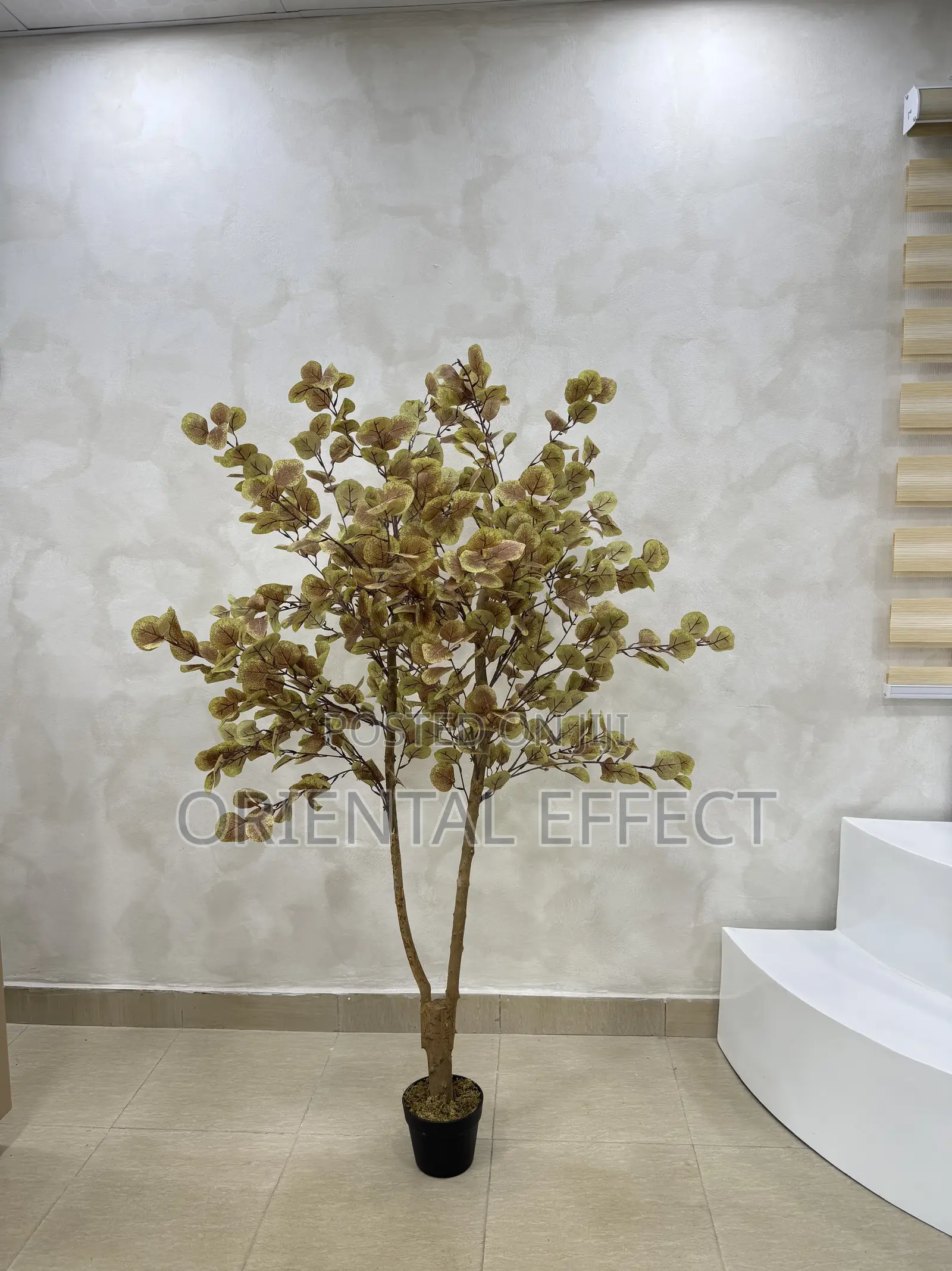 Artificial Money Tree–Realistic Faux Plant for Interior Decor Nigeria