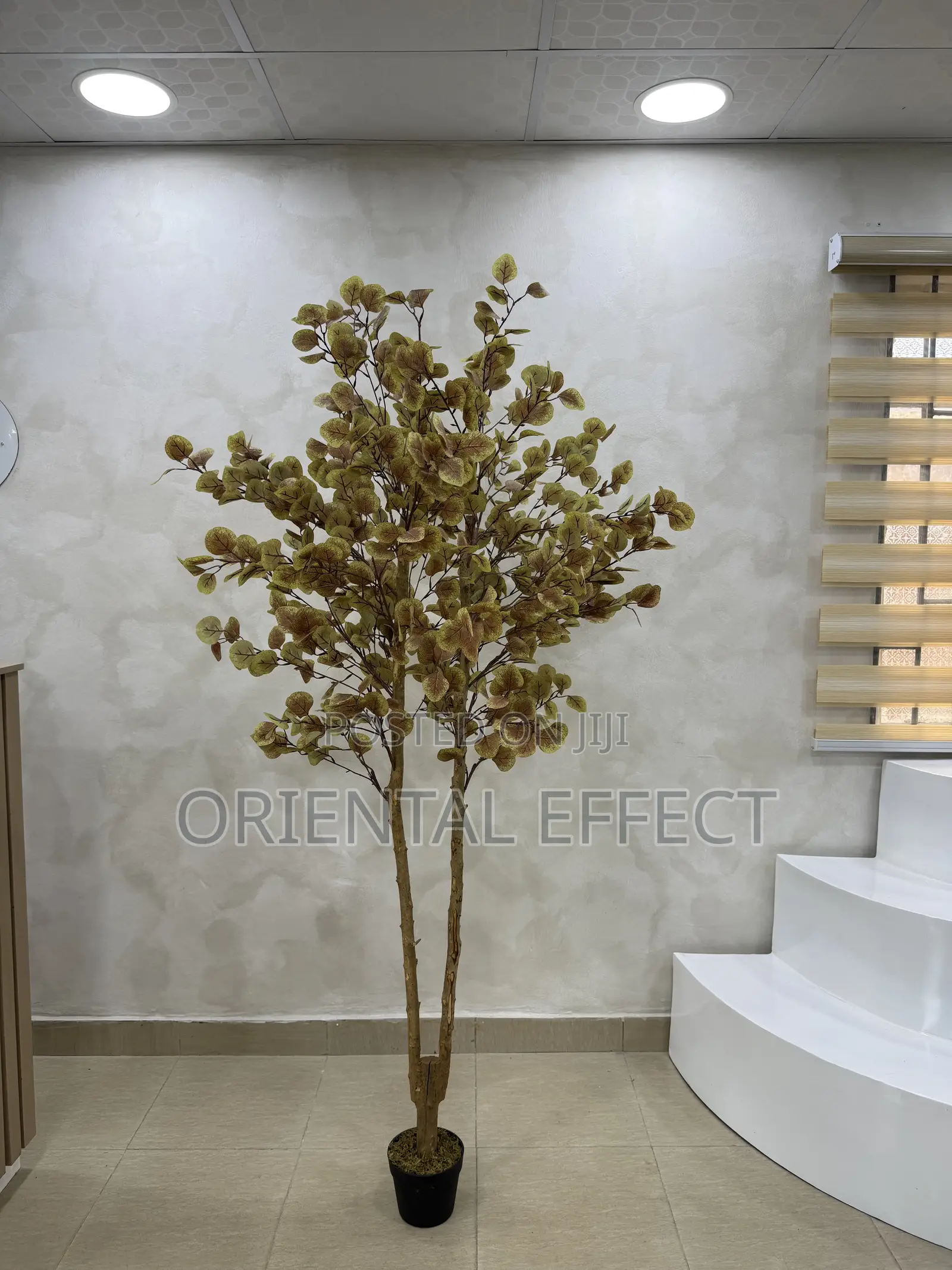 180cm Artificial Money Tree– Realistic Faux Plant for Interior Styling