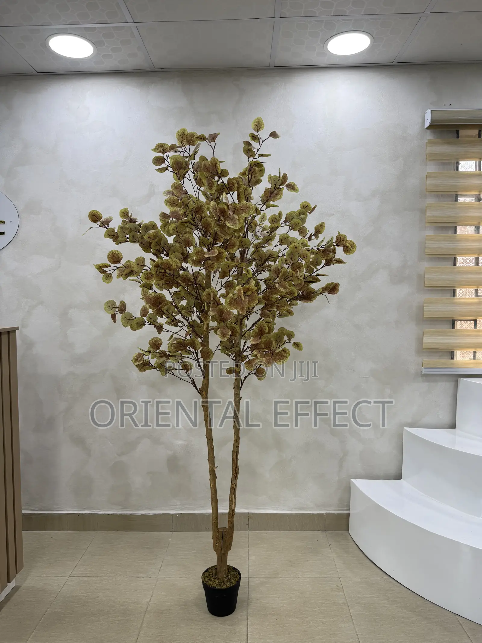 180cm Artificial Money Tree– Realistic Faux Plant for Interior Styling