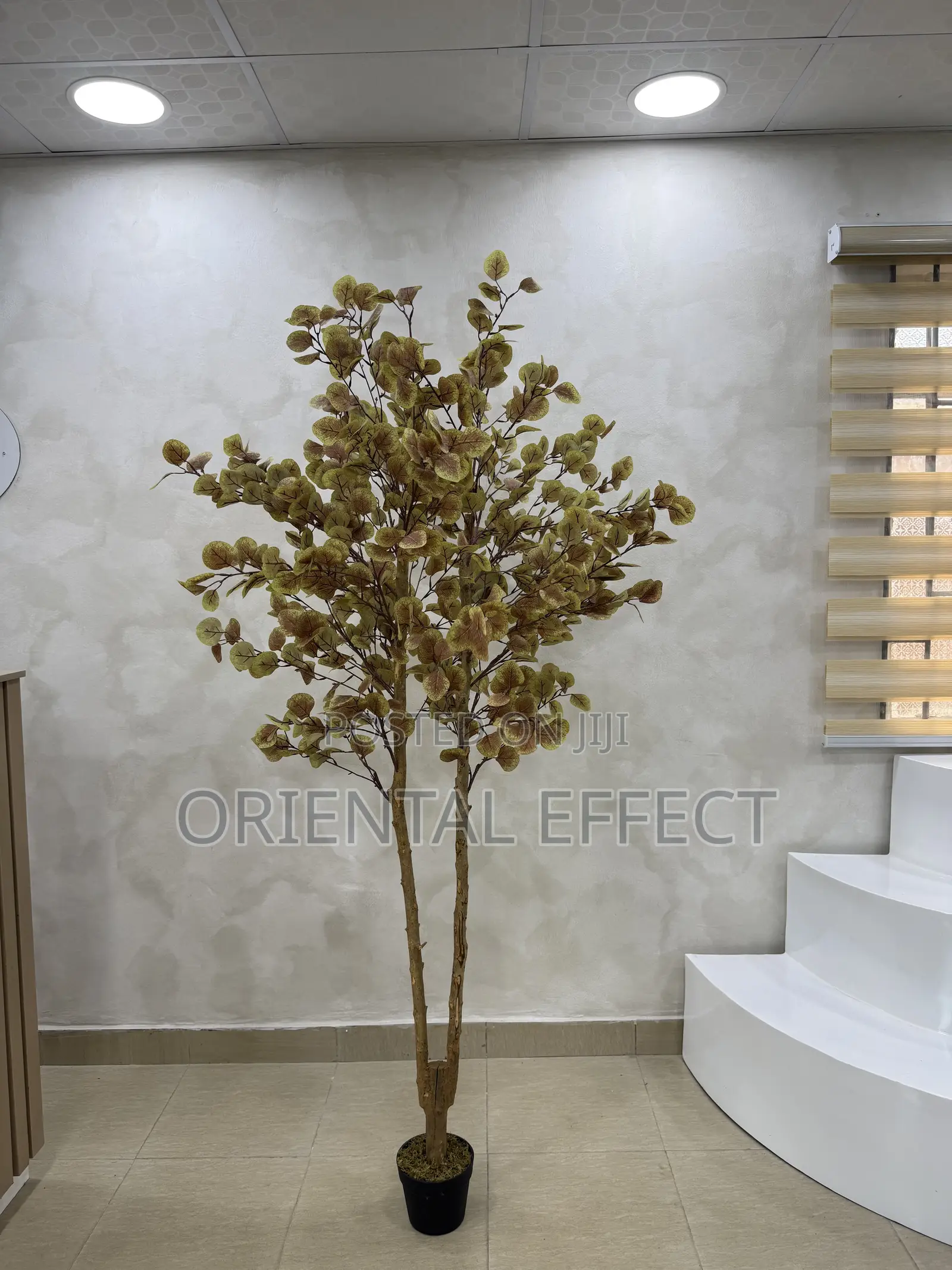 180cm Artificial Money Tree– Realistic Faux Plant for Interior Styling
