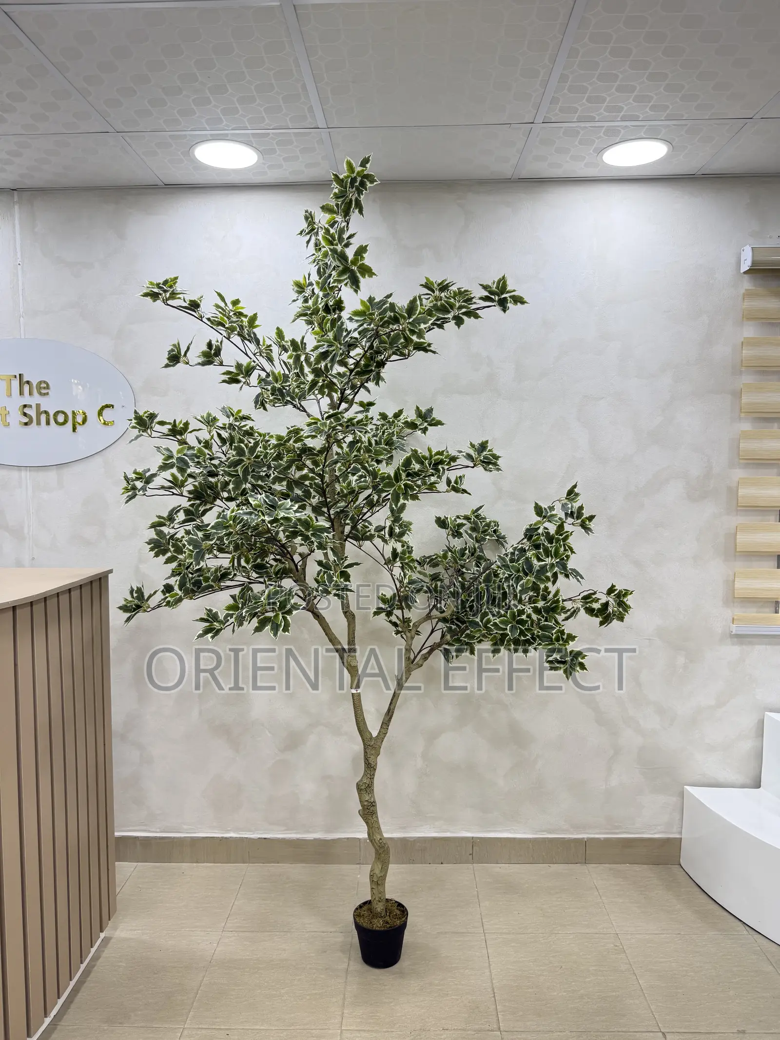 Artificial White Edge Banyan Tree – Faux Indoor Plant for Home Décor