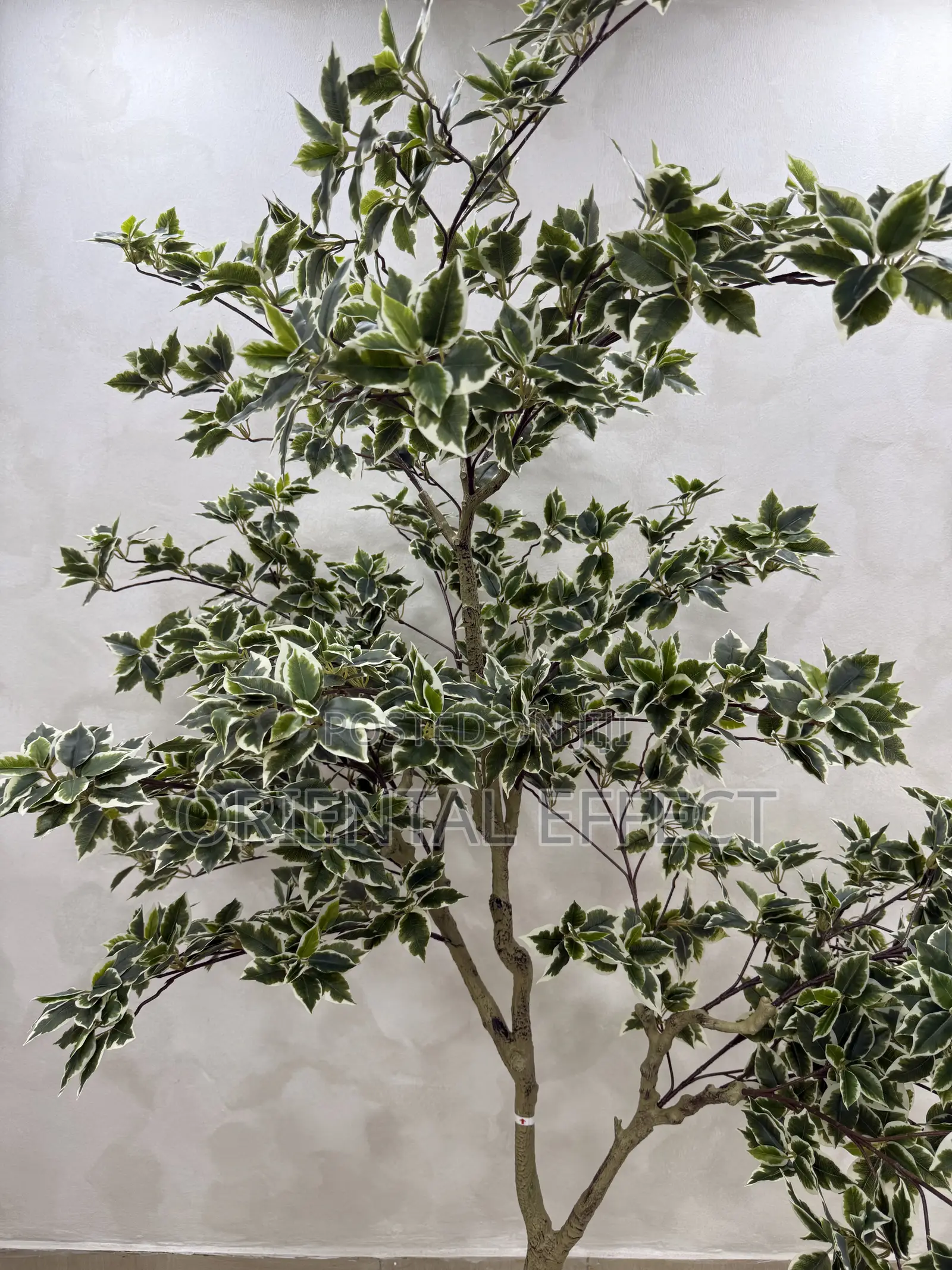 Artificial White Edge Banyan Tree – Faux Indoor Plant for Home Décor