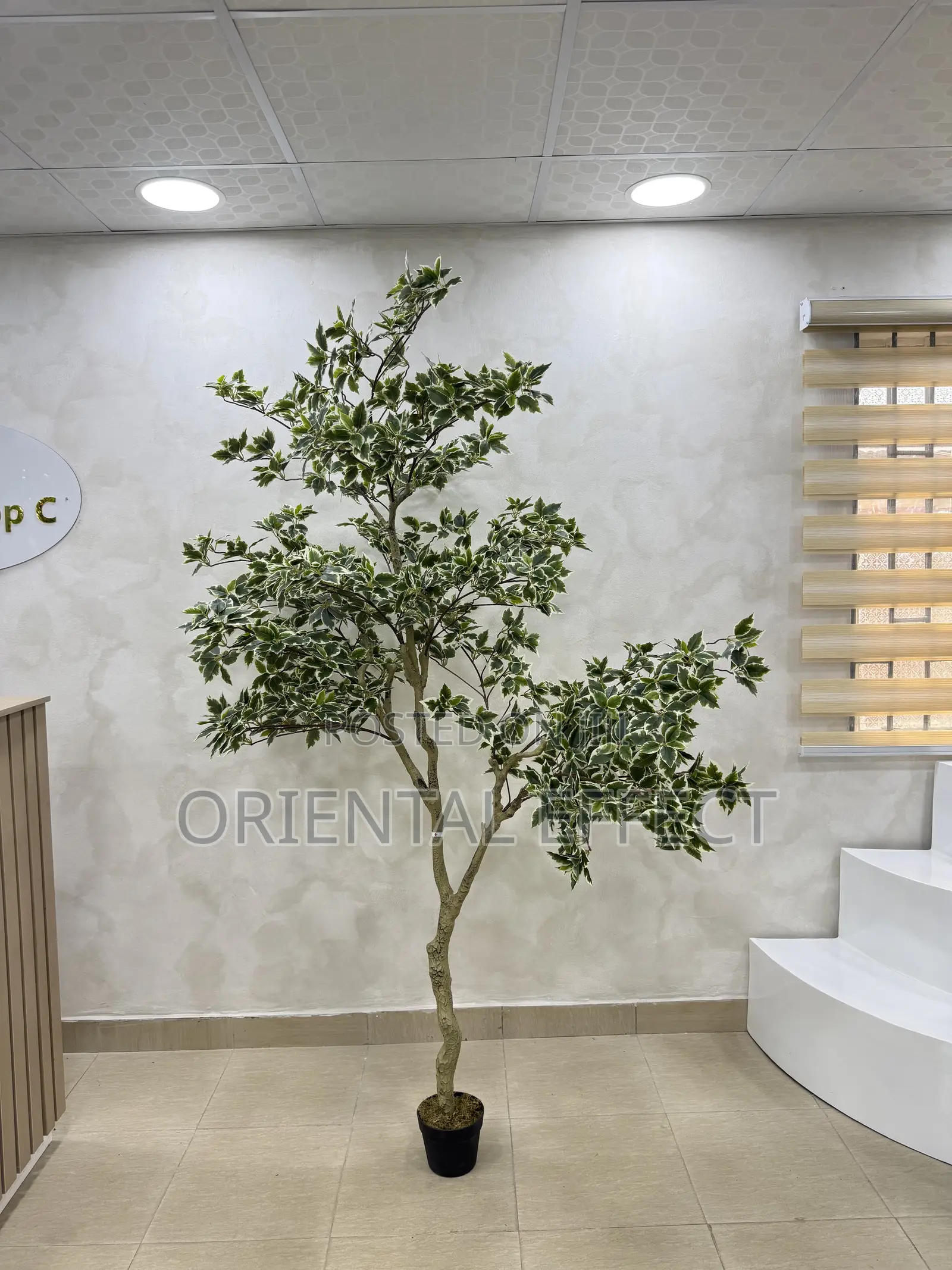 Artificial White Edge Banyan Tree – Faux Indoor Plant for Home Décor