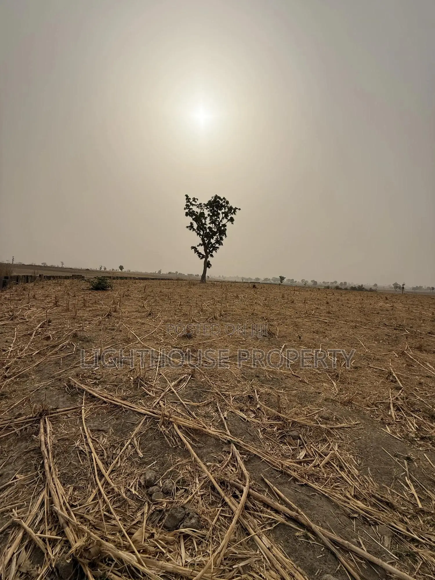 2.16 Hectares of Farm Land for Sale