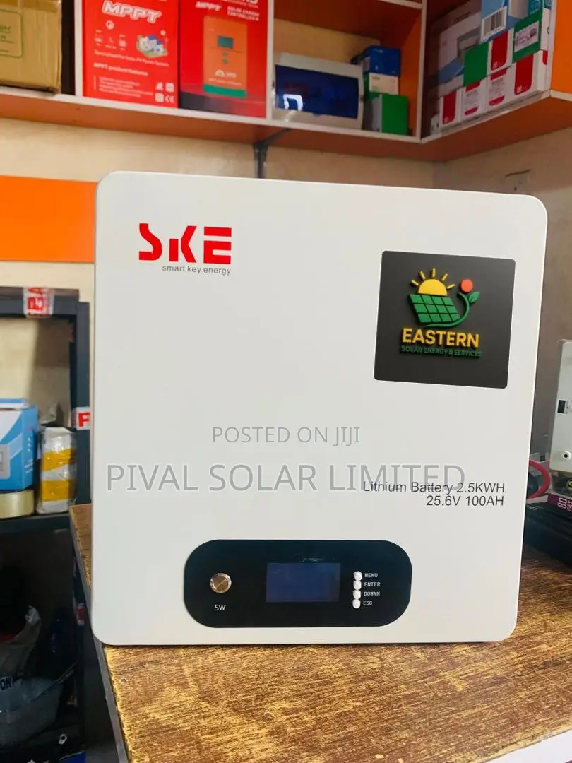 2.5kwh 24volst Ske Product Lithium Iron Battery