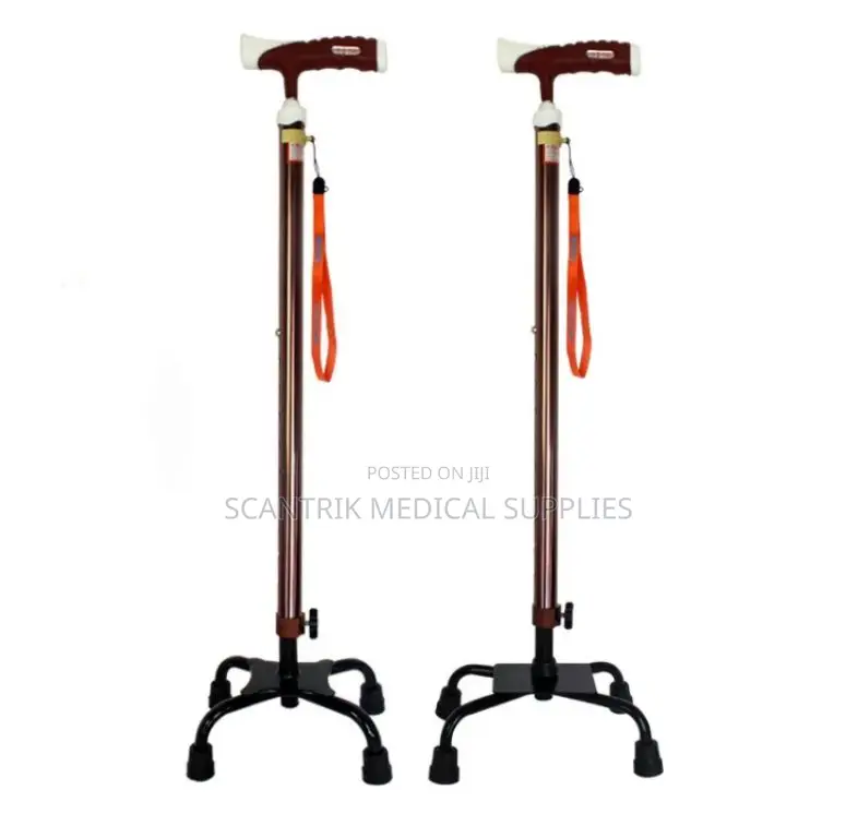 Portable Support 4-Foot Walking Stick for Easy Movement