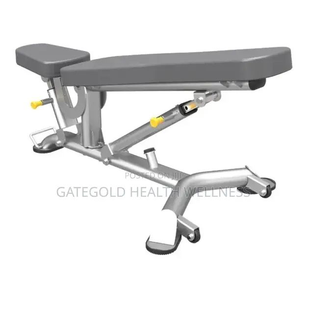 Im011c/It7011c Heavy Duty Commercial Advanced Multi Adjustable Bench