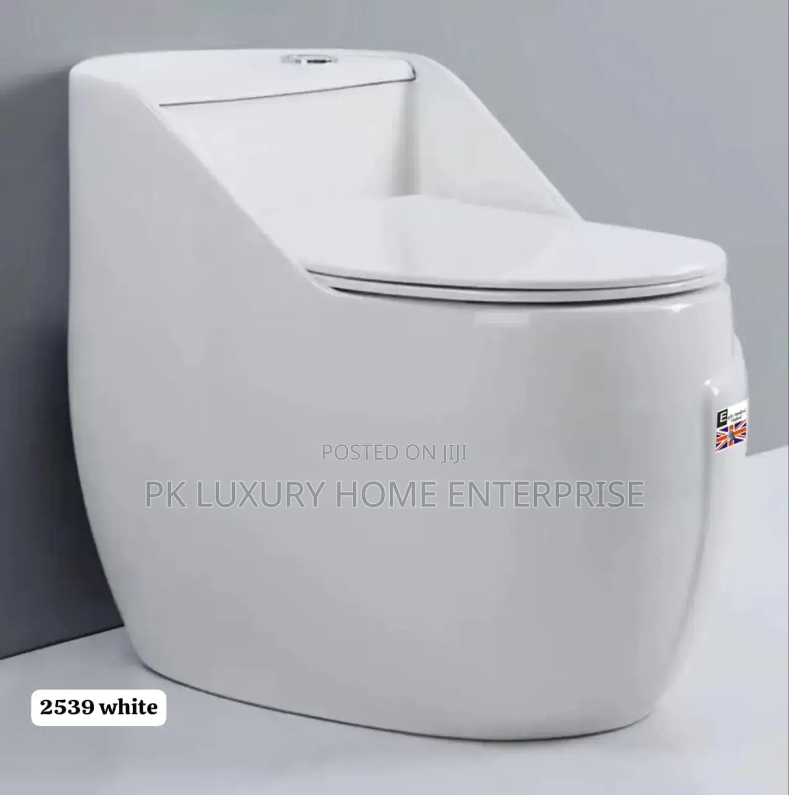 Standard Toilet Wc Seat