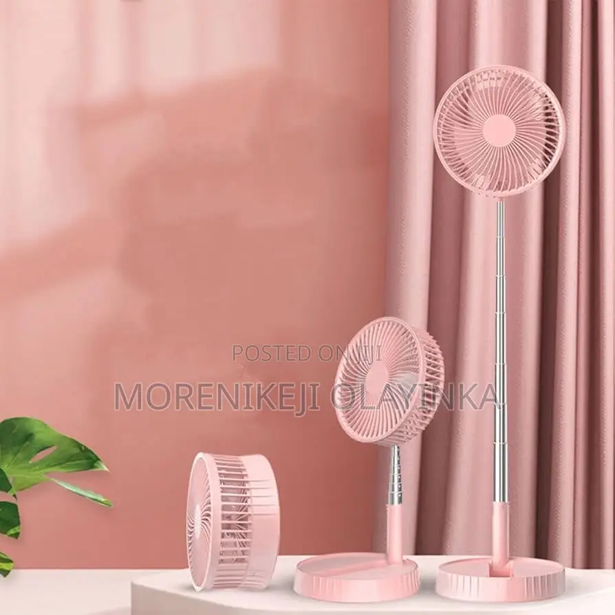 Portable Pole Fan