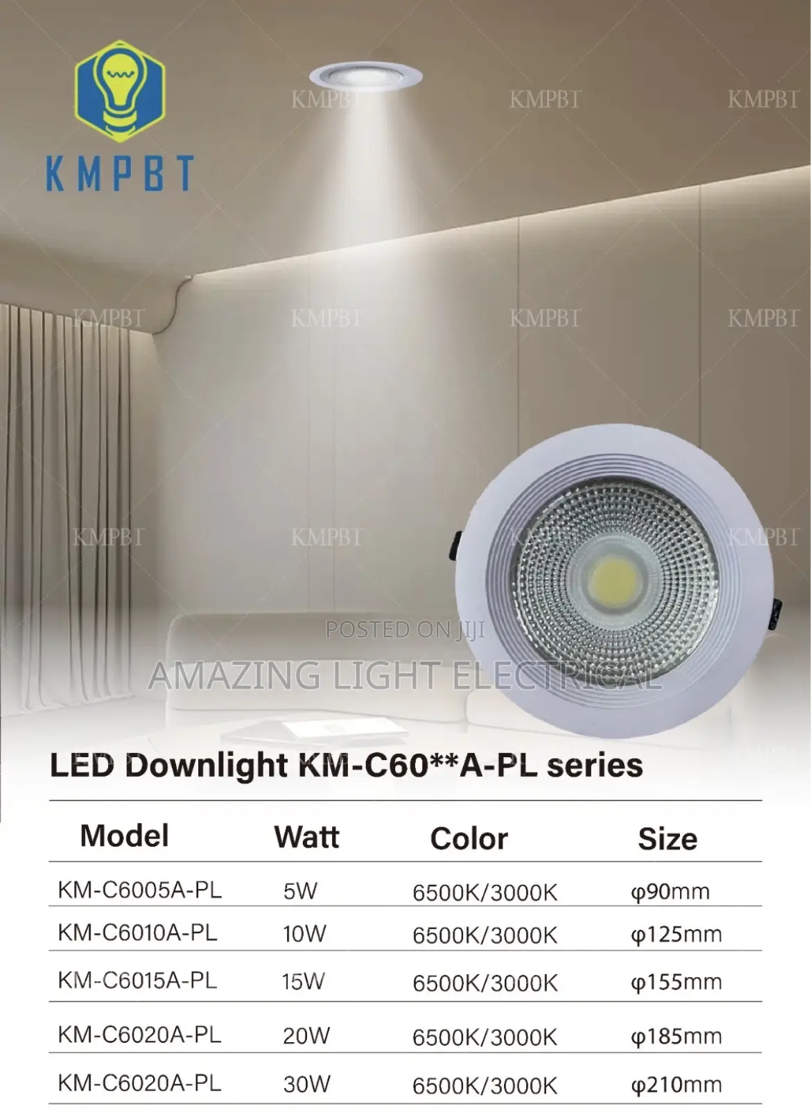 20 Watts Cob Light