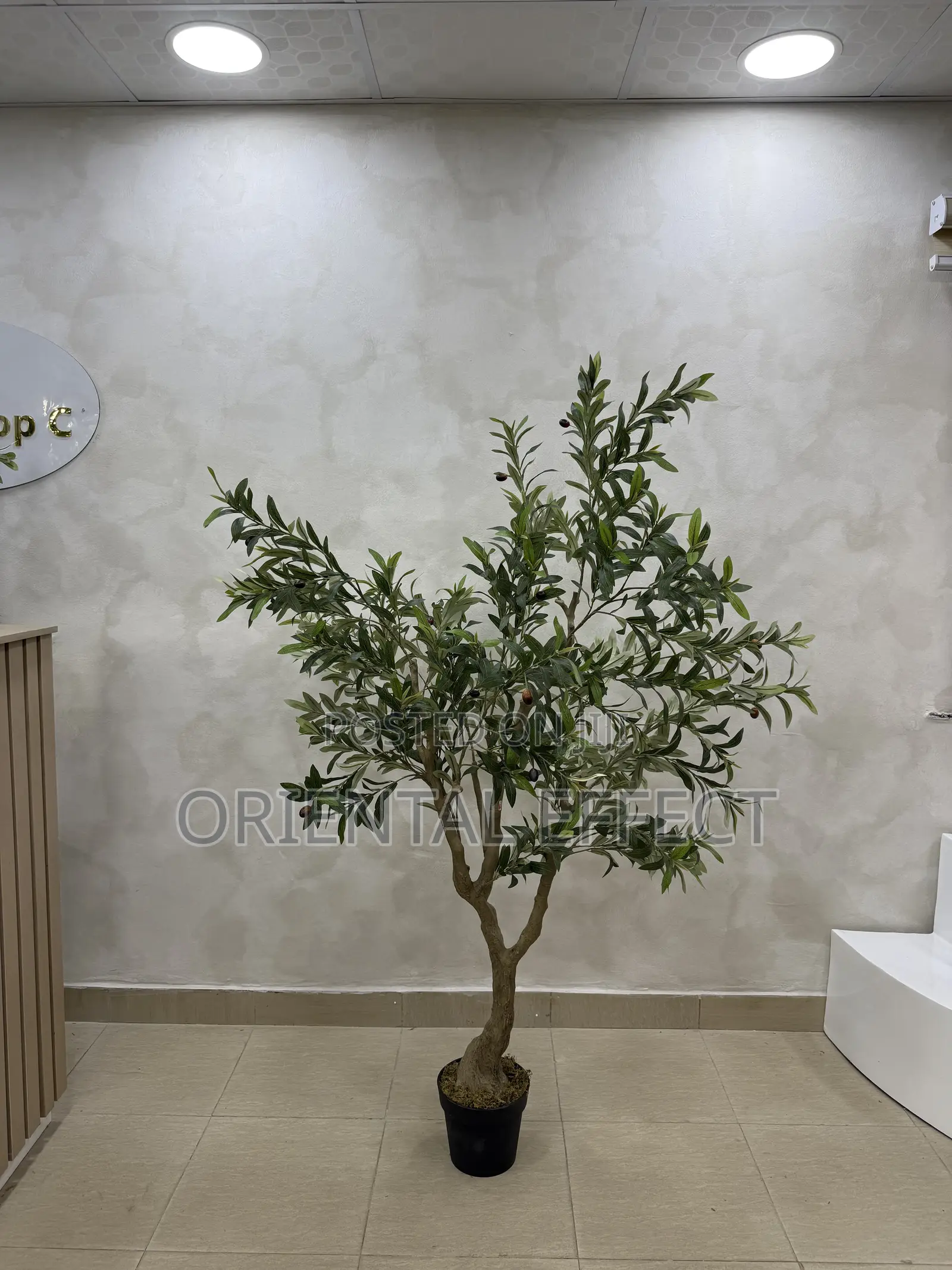 180cm Artificial Wide Olive Tree – Modern Home Décor in Nigeria