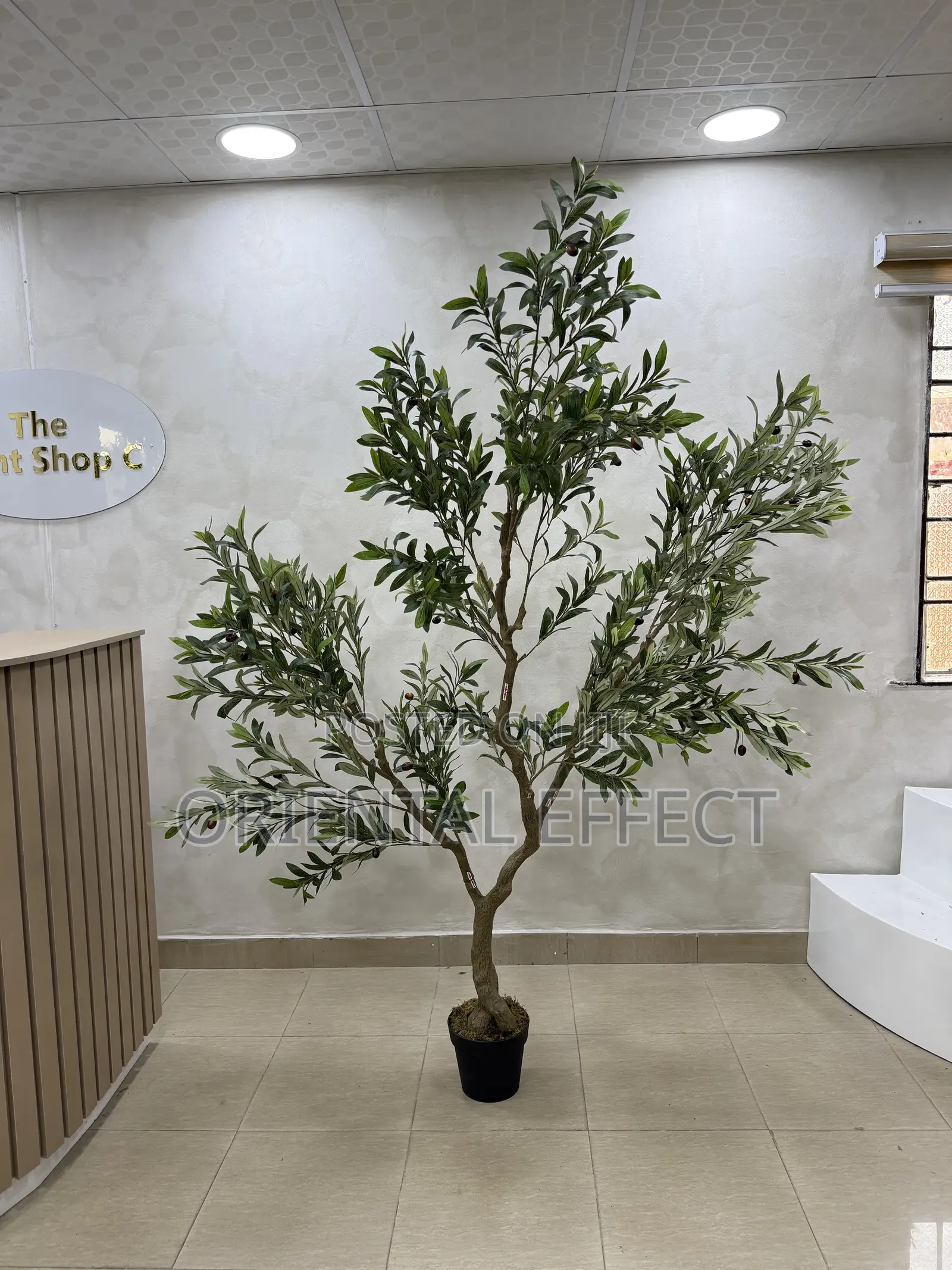 240cm Artificial Wide Olive Tree – Faux Indoor Plant Home Décor