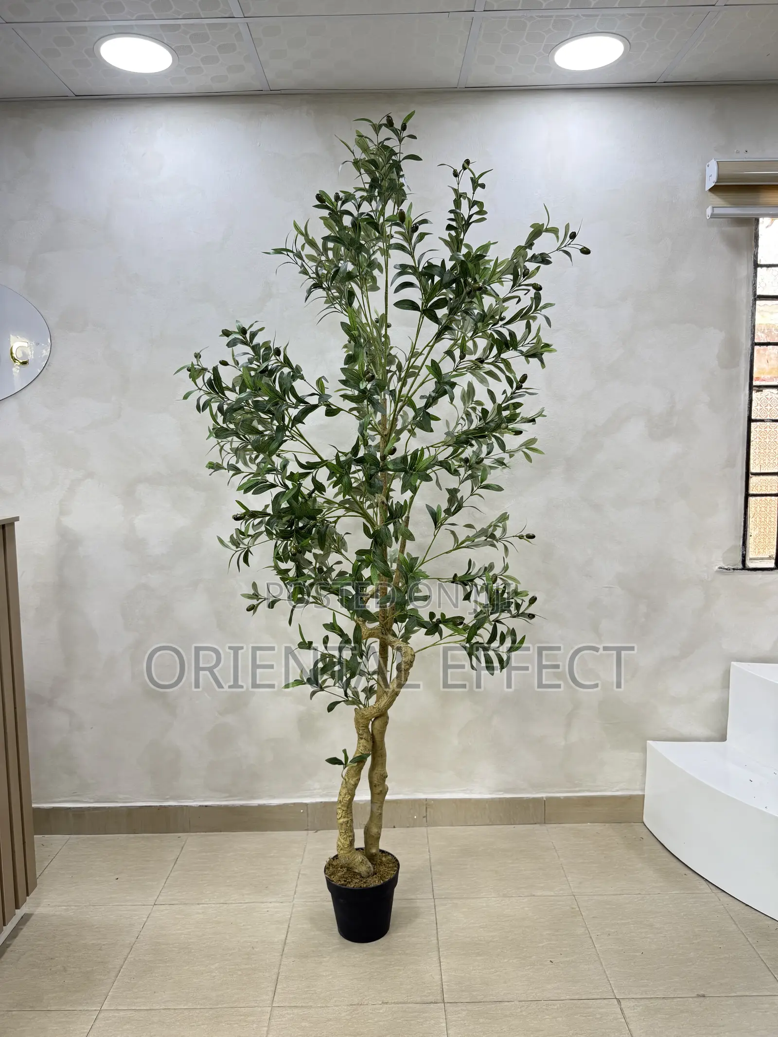 210cm Artificial Twisted Olive Tree–Realistic Faux Indoor Plant Decor