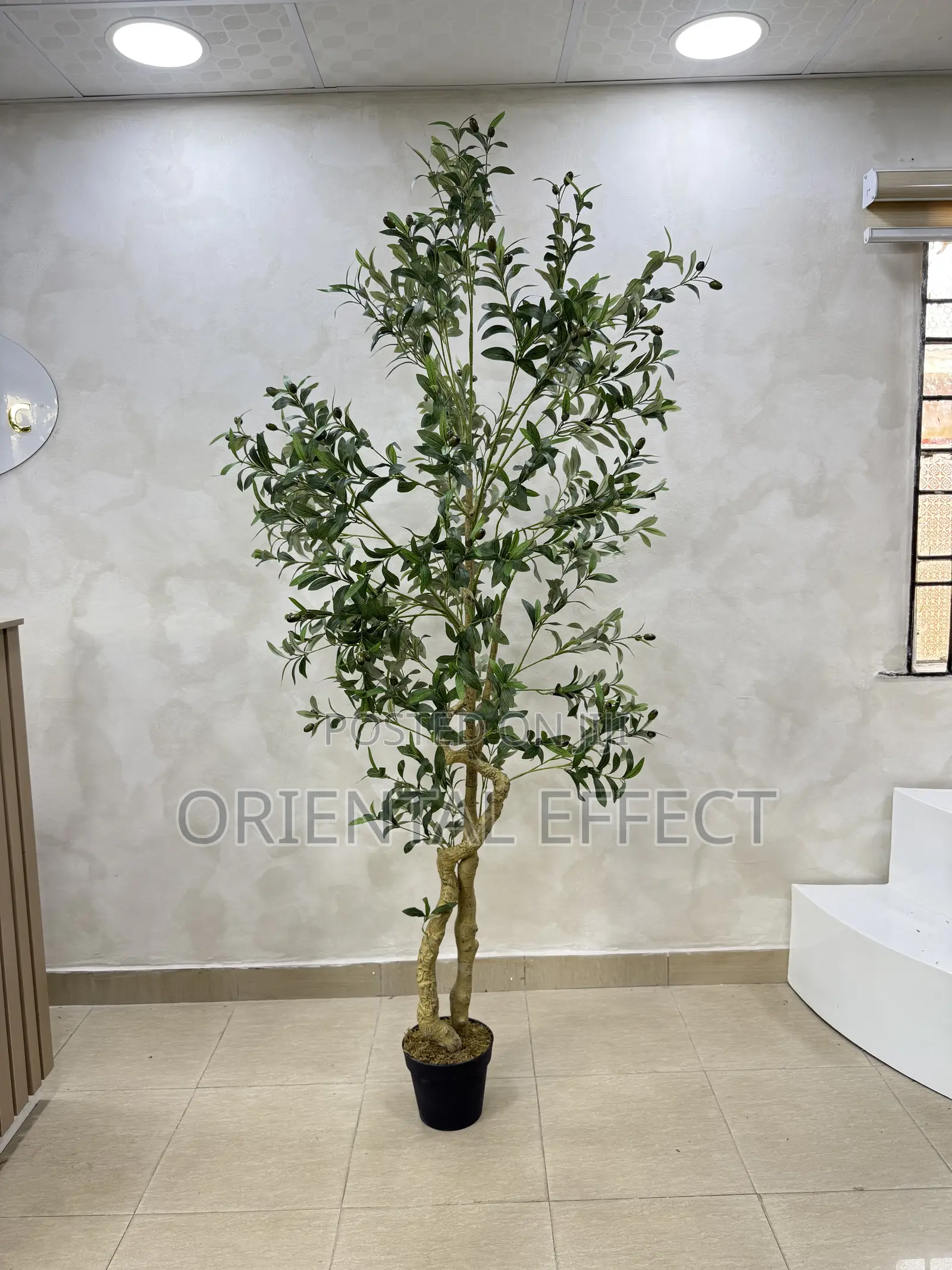 210cm Artificial Twisted Olive Tree–Realistic Faux Indoor Plant Decor