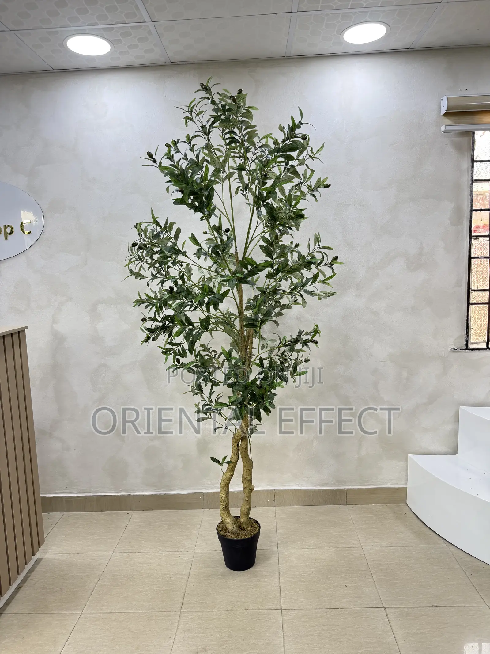 210cm Artificial Twisted Olive Tree–Realistic Faux Indoor Plant Decor