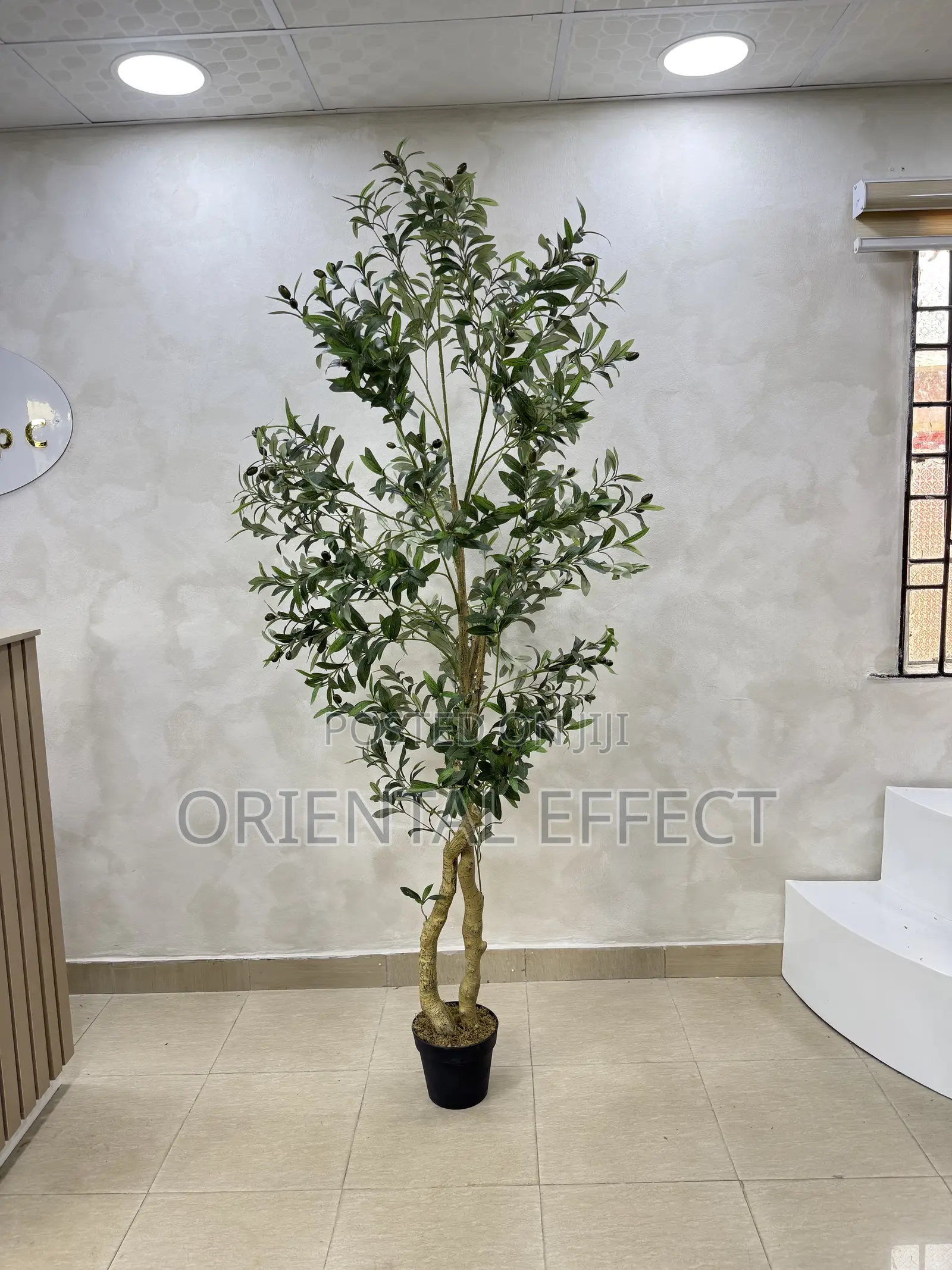 210cm Artificial Twisted Olive Tree–Realistic Faux Indoor Plant Decor