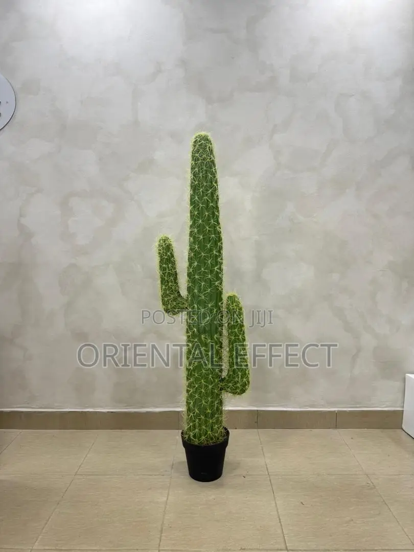 Cactus Plant 145cm Artificial Indoor Decor for Sale Nigeria
