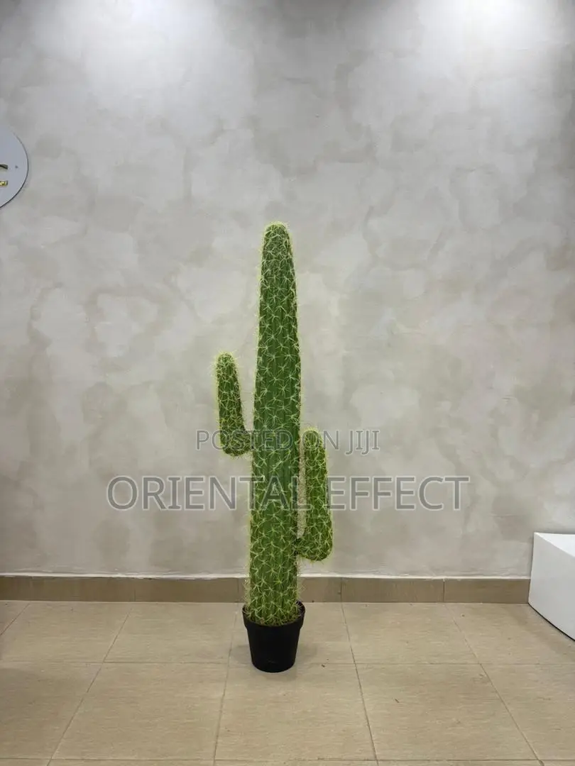Cactus Plant 145cm Artificial Indoor Decor for Sale Nigeria