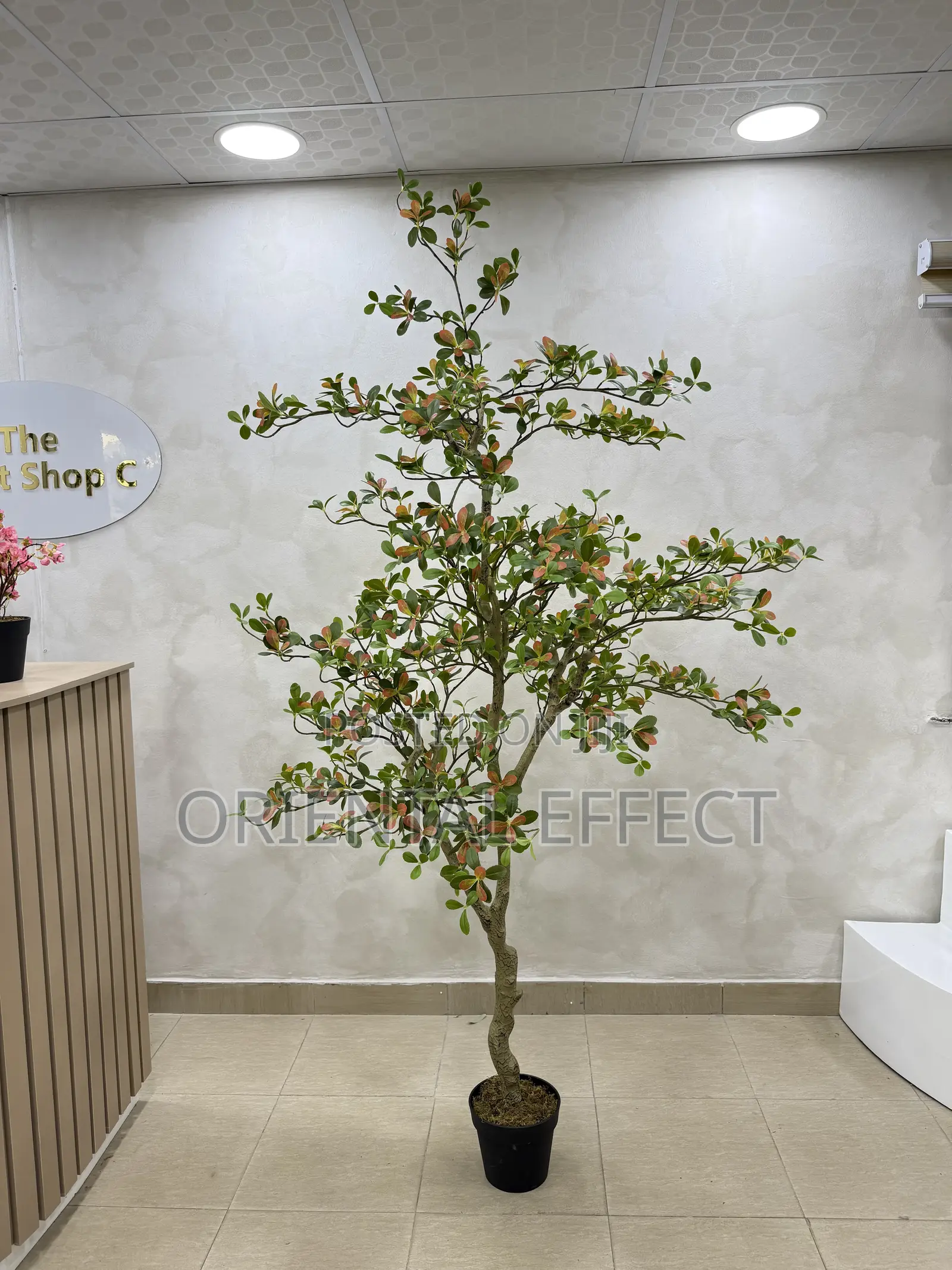 200cm Artificial Osman Tree – Realistic Faux Indoor Plant Decor