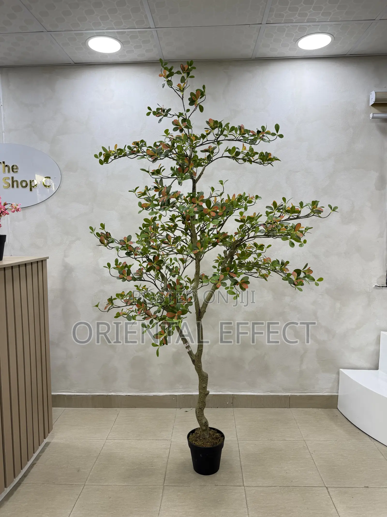 200cm Artificial Osman Tree – Realistic Faux Indoor Plant Decor