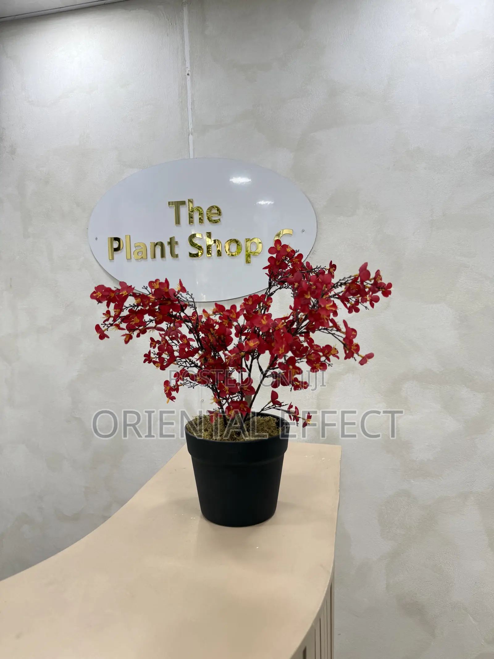 45cm Artificial Begonia Plant – Realistic Faux Indoor Plant Decor