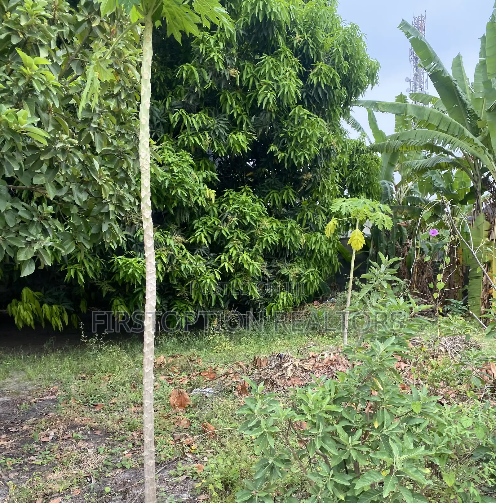 Distress Half Plot of Land Measuring 300sqm at Ogombo Ajah
