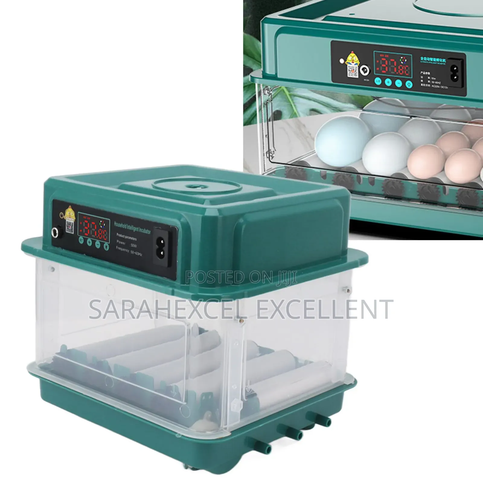 10 Capacity Egg Incubator
