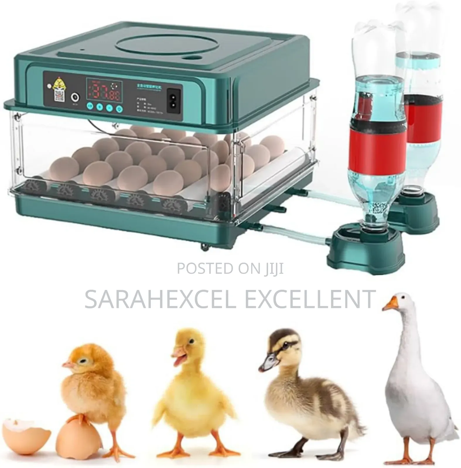 15 Egg Capacity Incubator