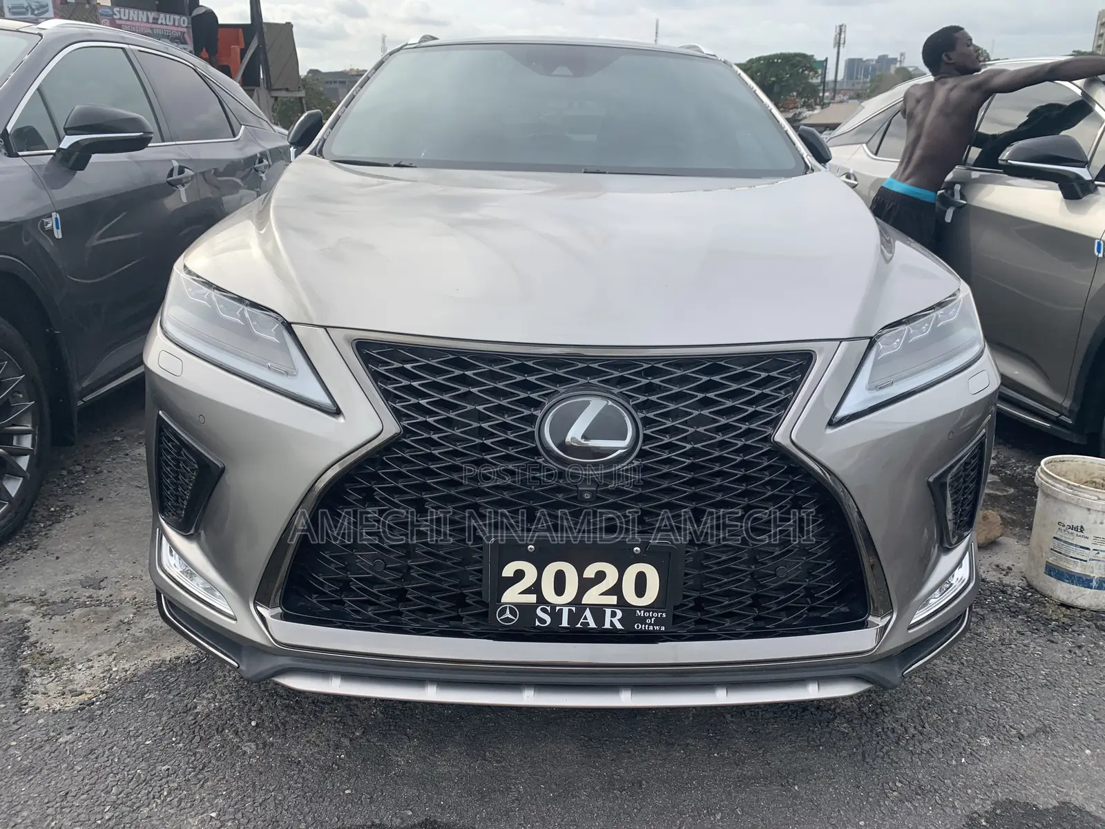 Lexus RX 300 4WD 2020 Gray